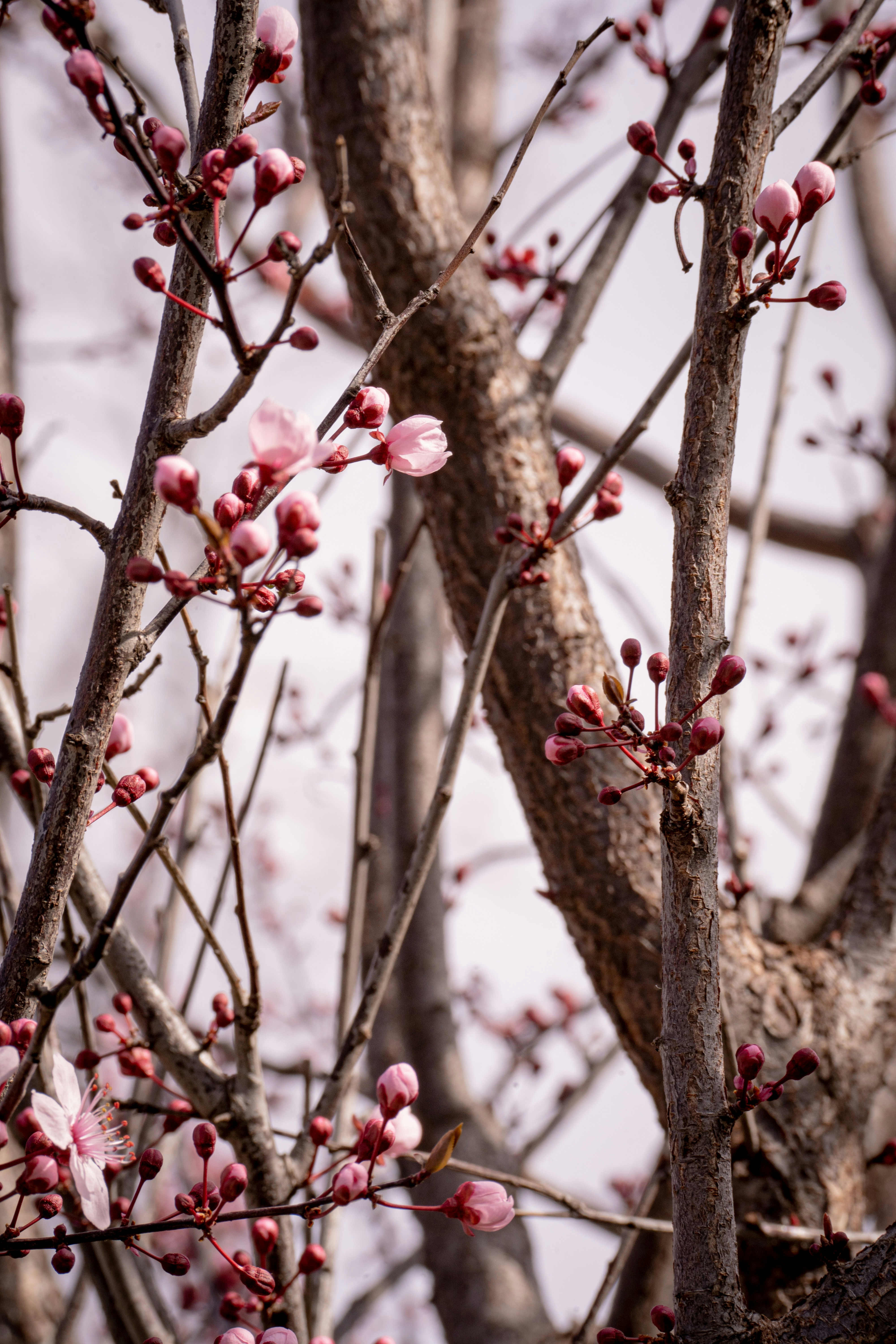 Photo by vencislavsh