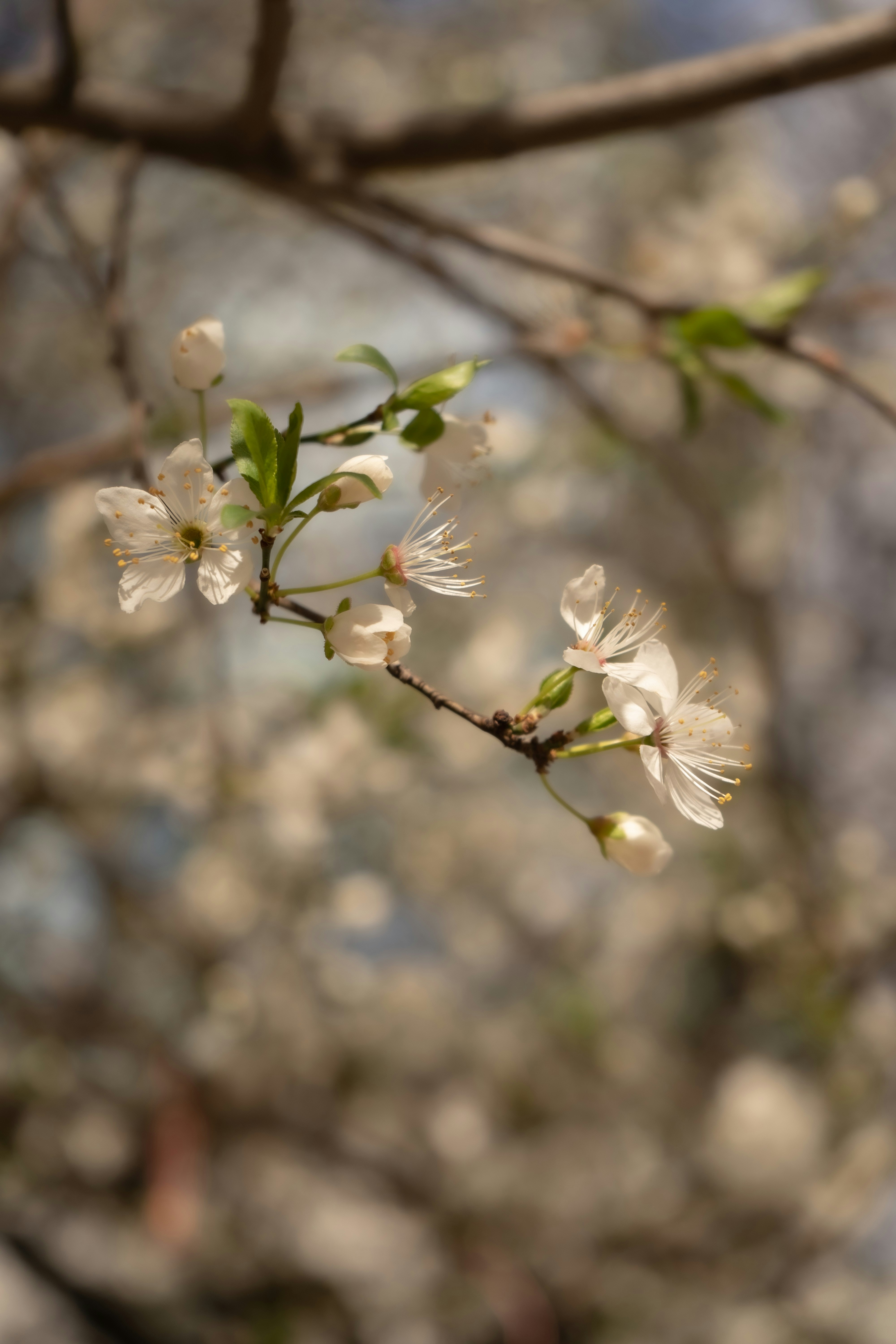 Photo by vencislavsh