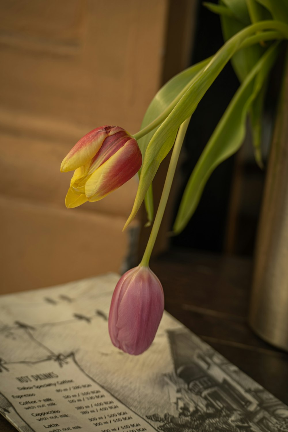 a pink and yellow tulip sitting on top of a piece of paper