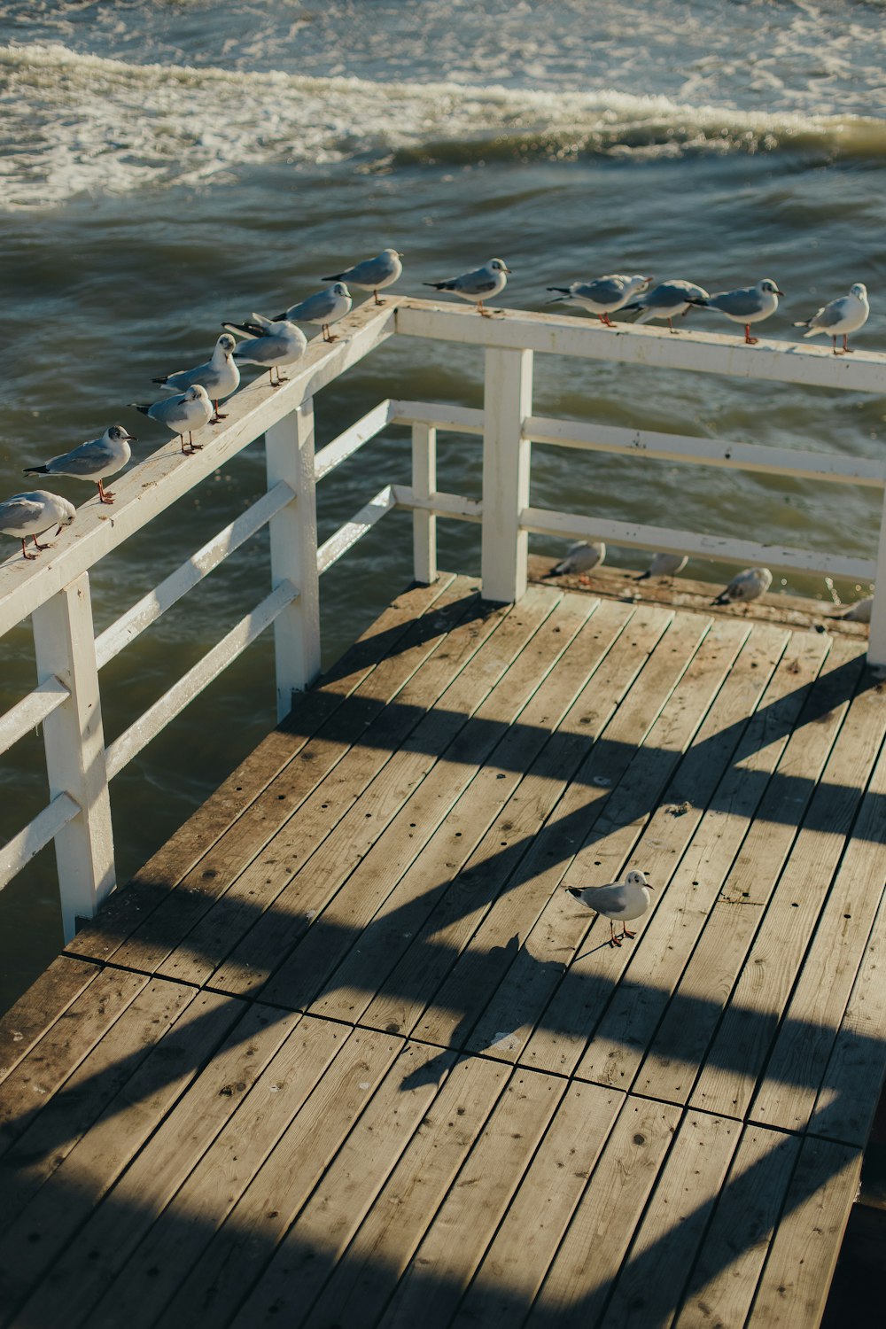 a wooden pier with seagulls sitting on it