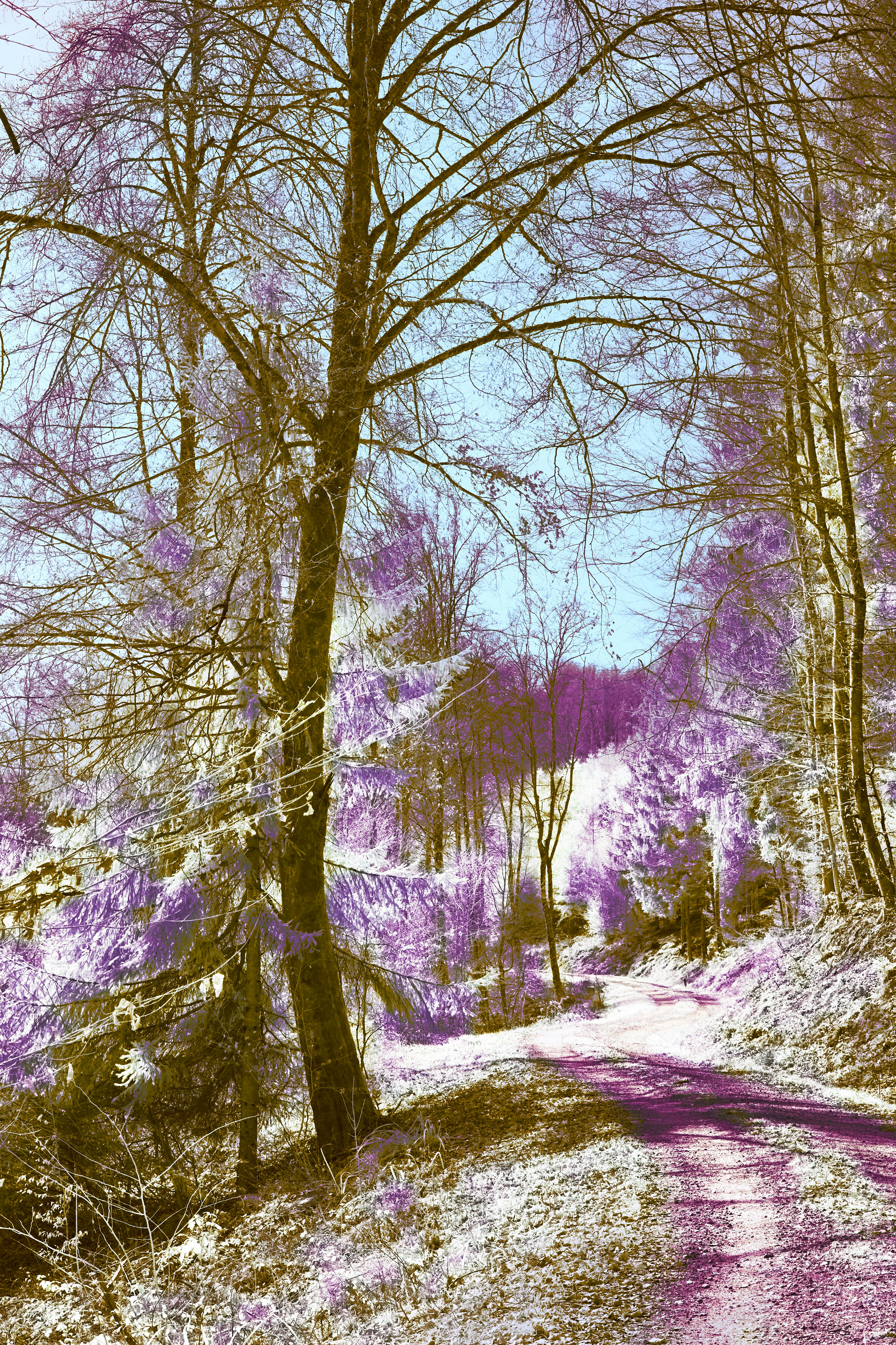 Photo by wolfgang_hasselmann