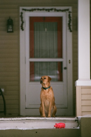 A cozy farmhouse porch with a dog resting nearby and a soccer ball leaning against the door.