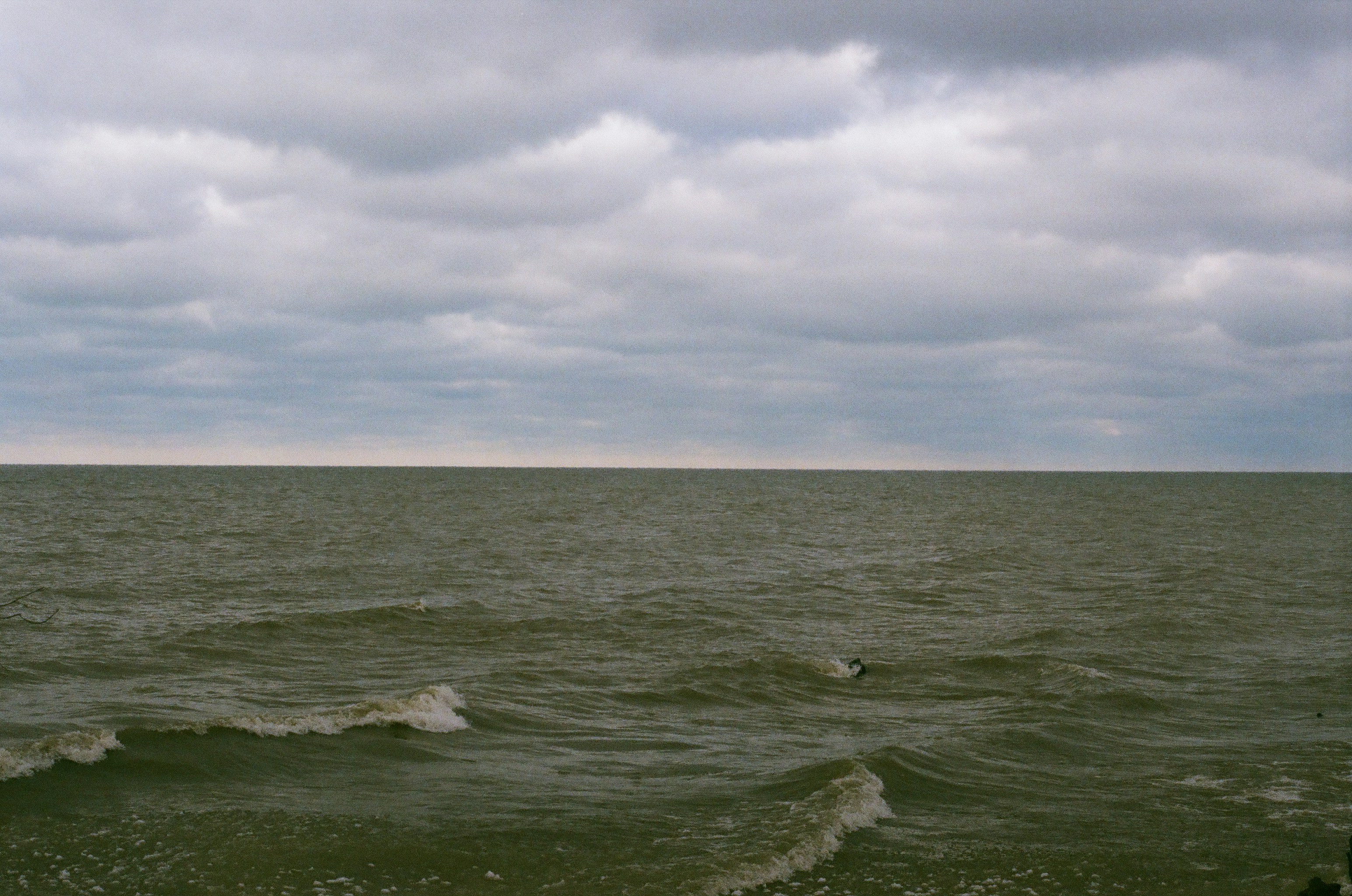 Photo by sydmoore6