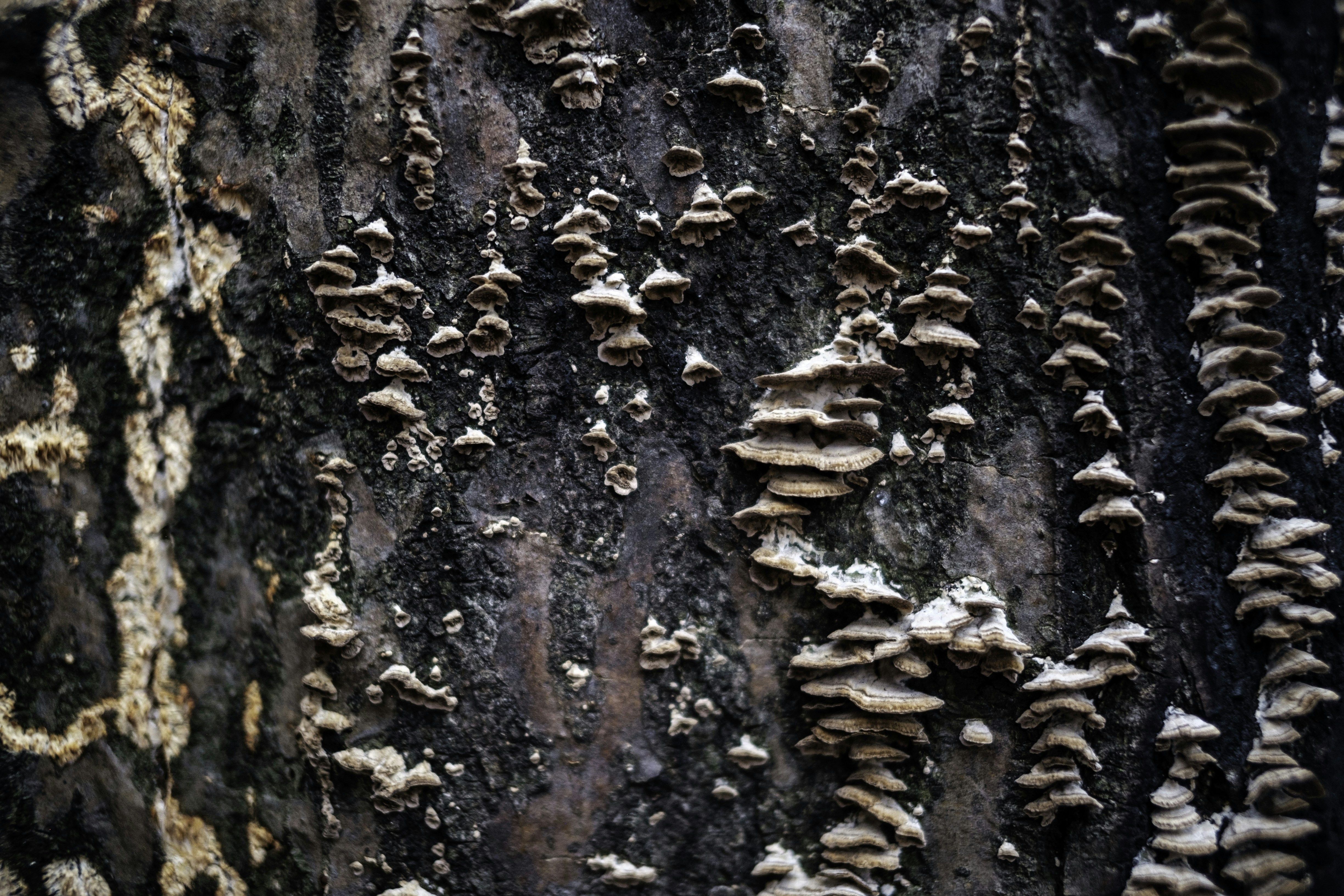 Photo by tylerdonaghy