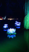 A tranquil meditation space bathed in soft moonlight with lotus motifs glowing gently.