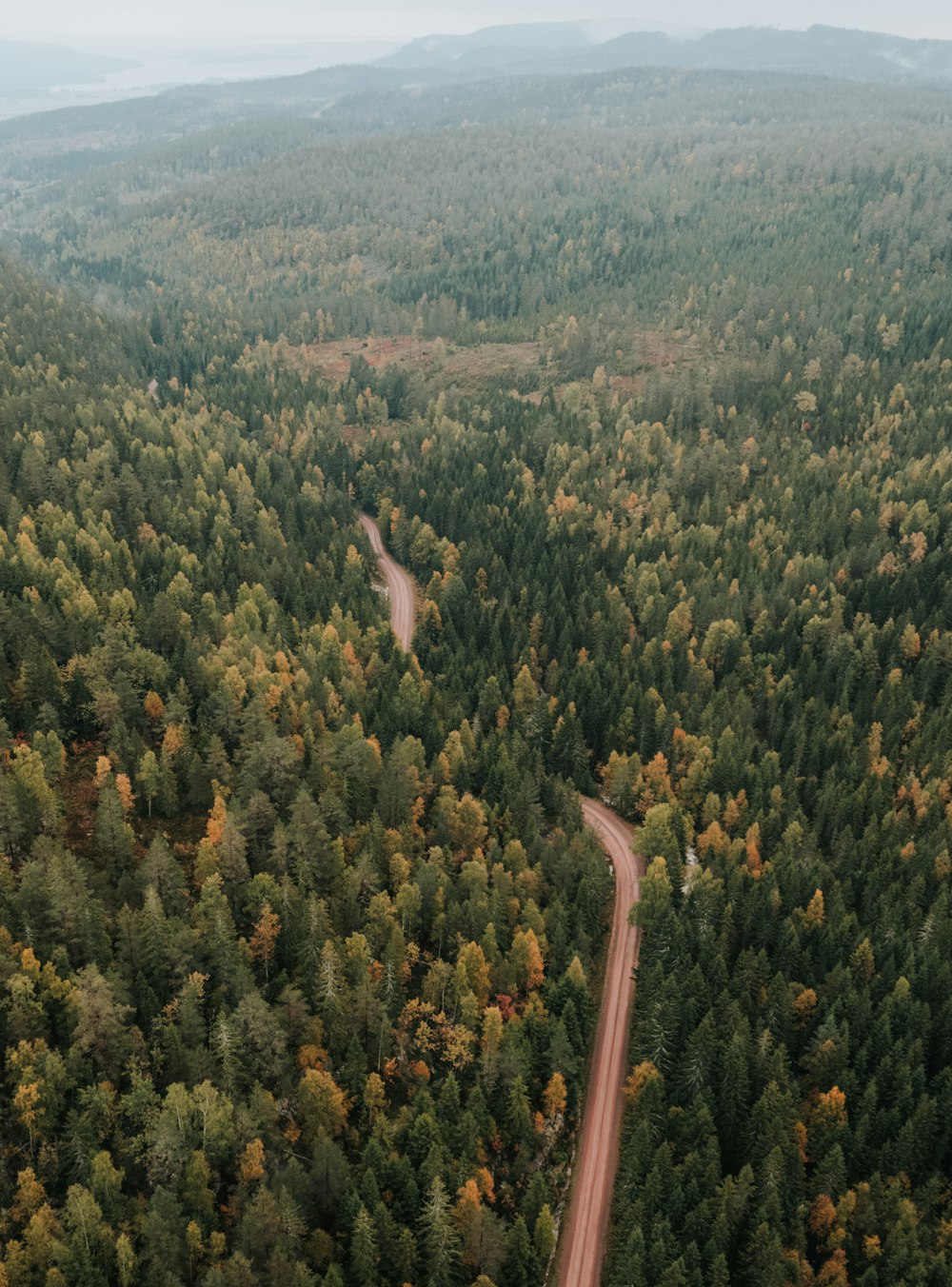 an aerial view of a road winding through a forest