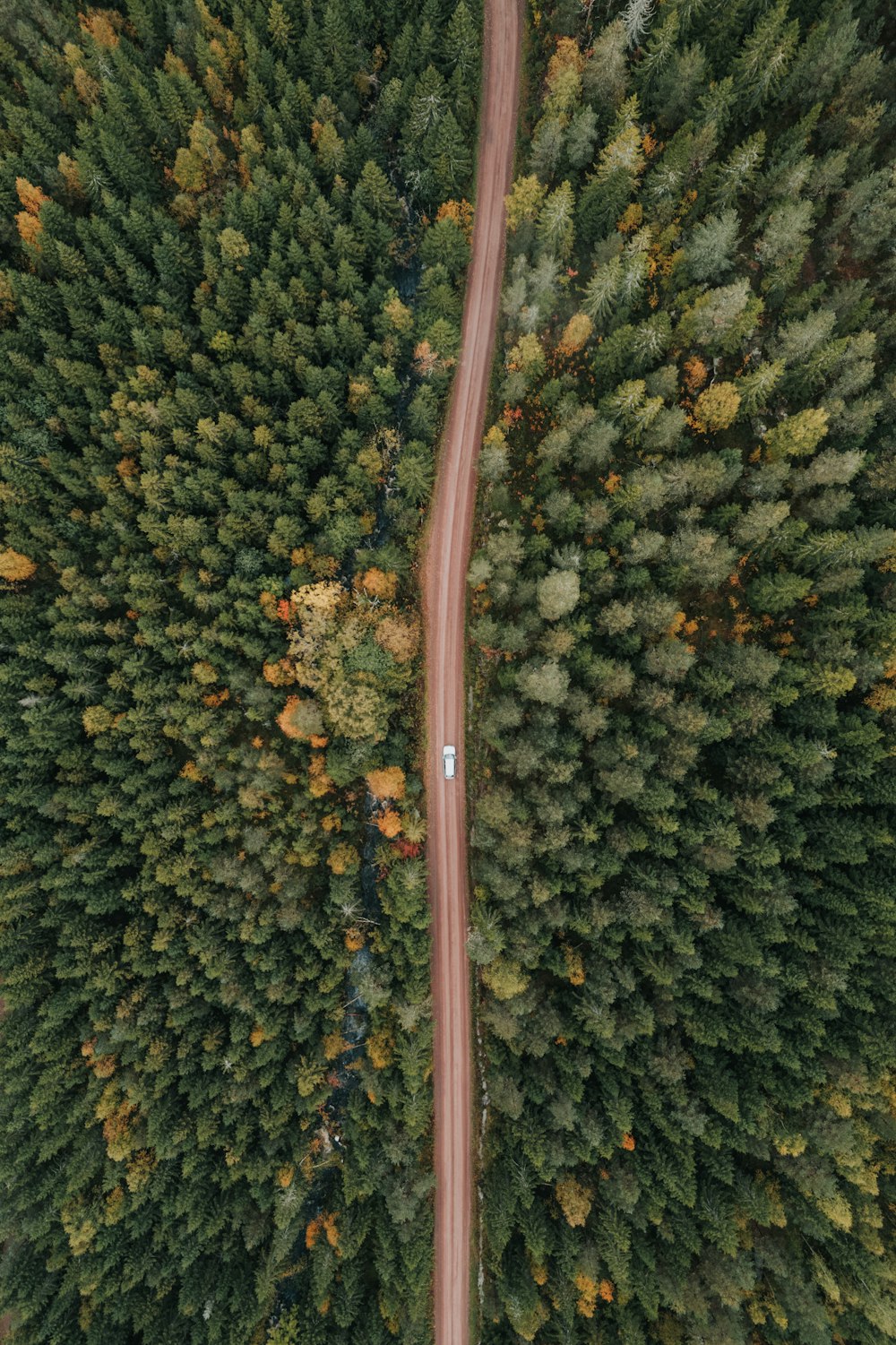 an aerial view of a road in the middle of a forest