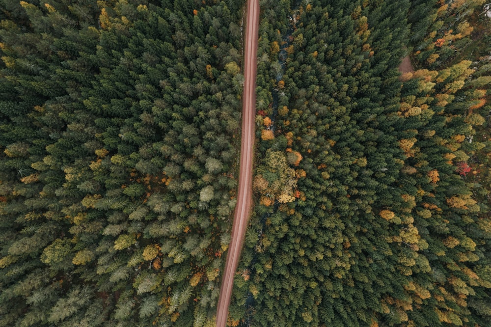 an aerial view of a road running through a forest