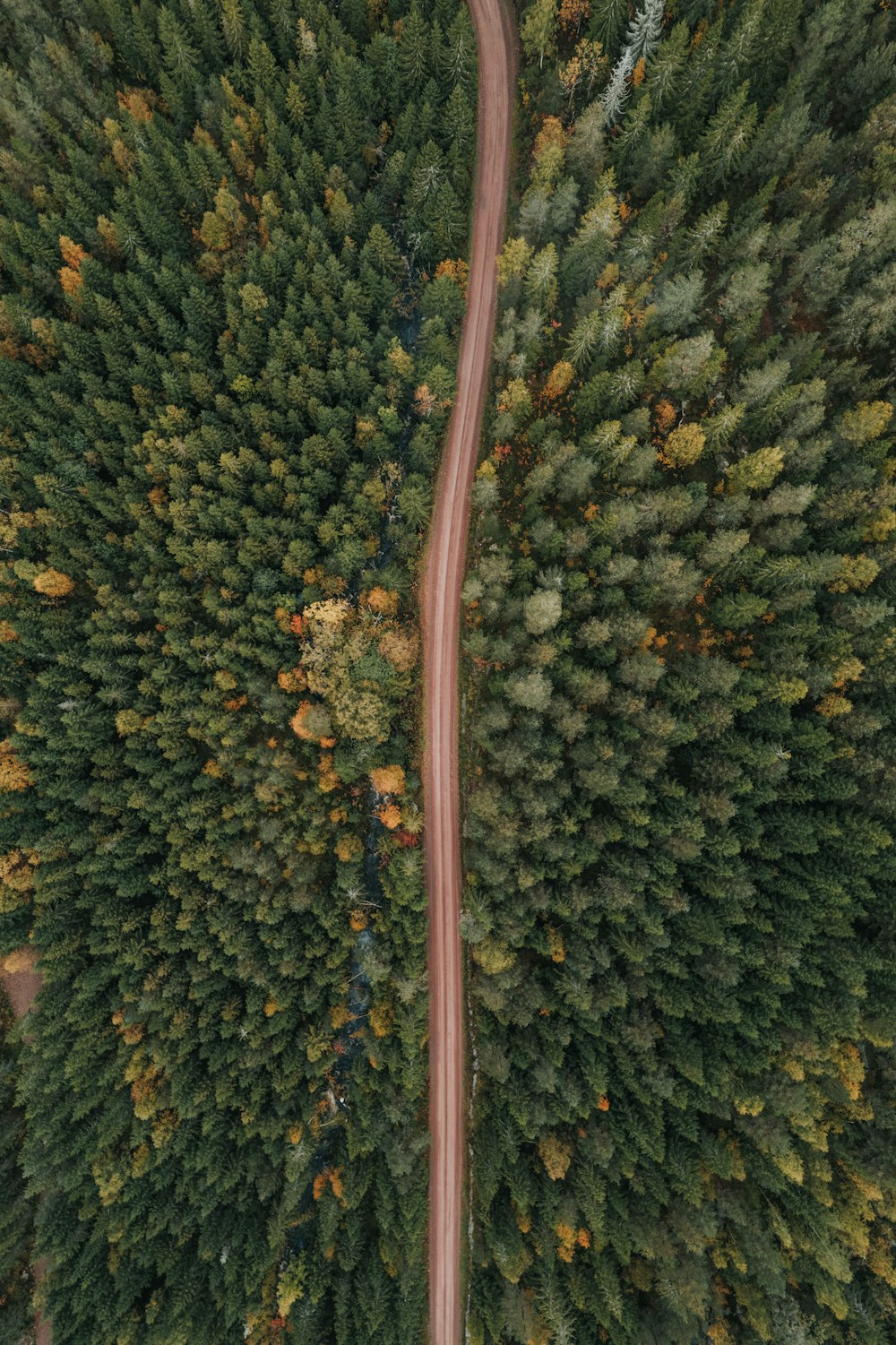 an aerial view of a road in the middle of a forest