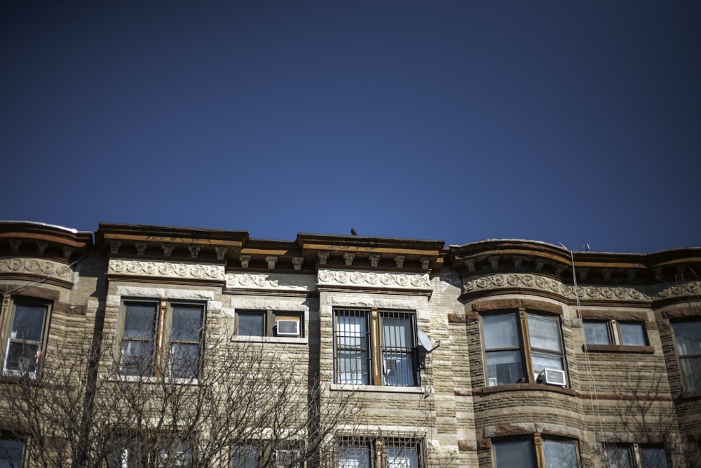 a building with many windows and a tree in front of it