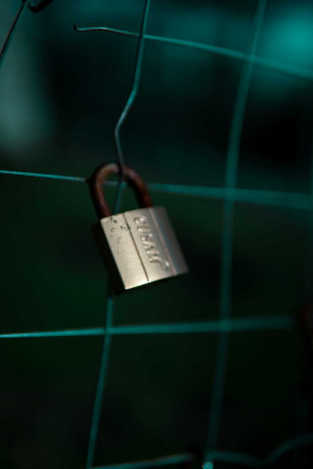 a padlock attached to a green fence