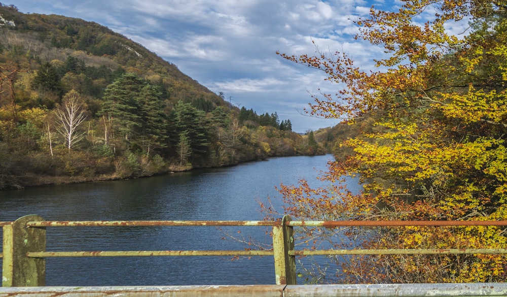 a view of a body of water surrounded by trees