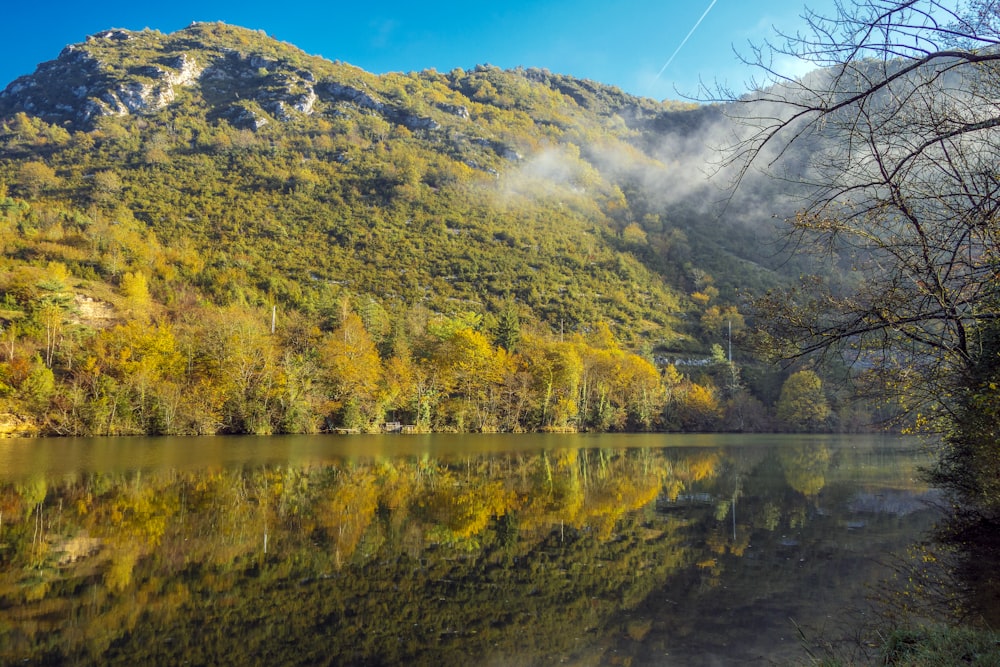 a body of water surrounded by a lush green hillside