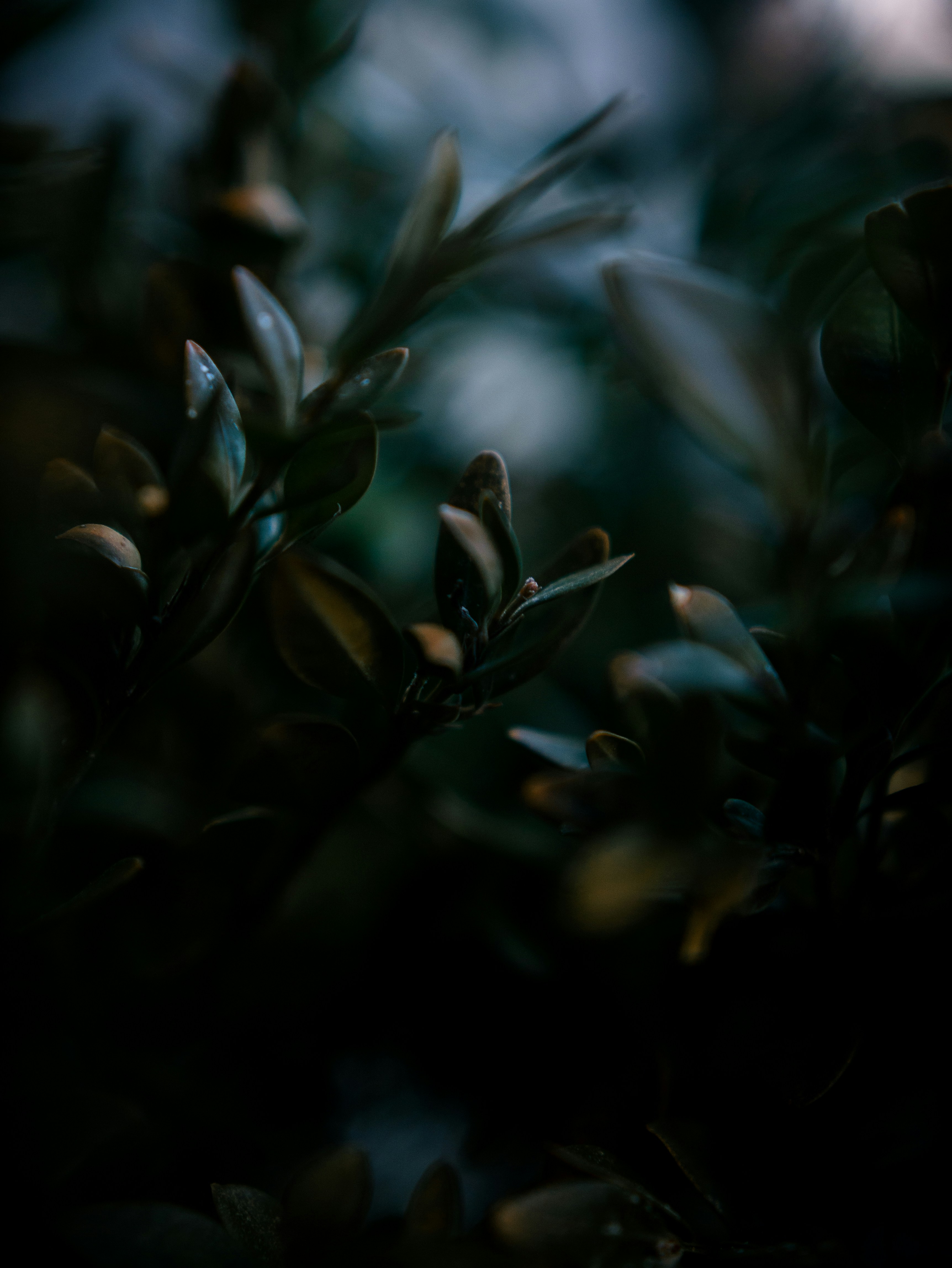 Photo by jadonjohnson