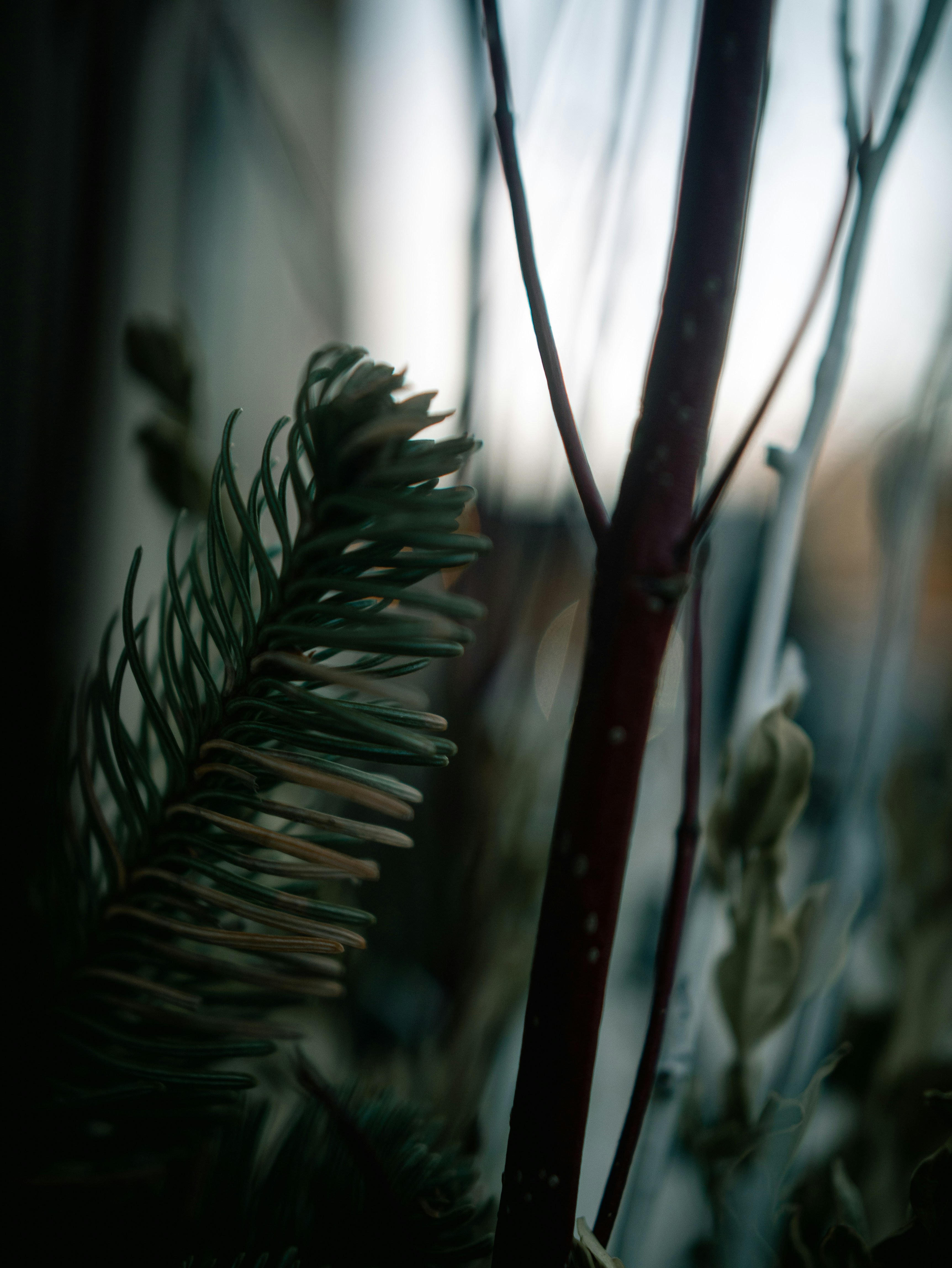 Photo by jadonjohnson