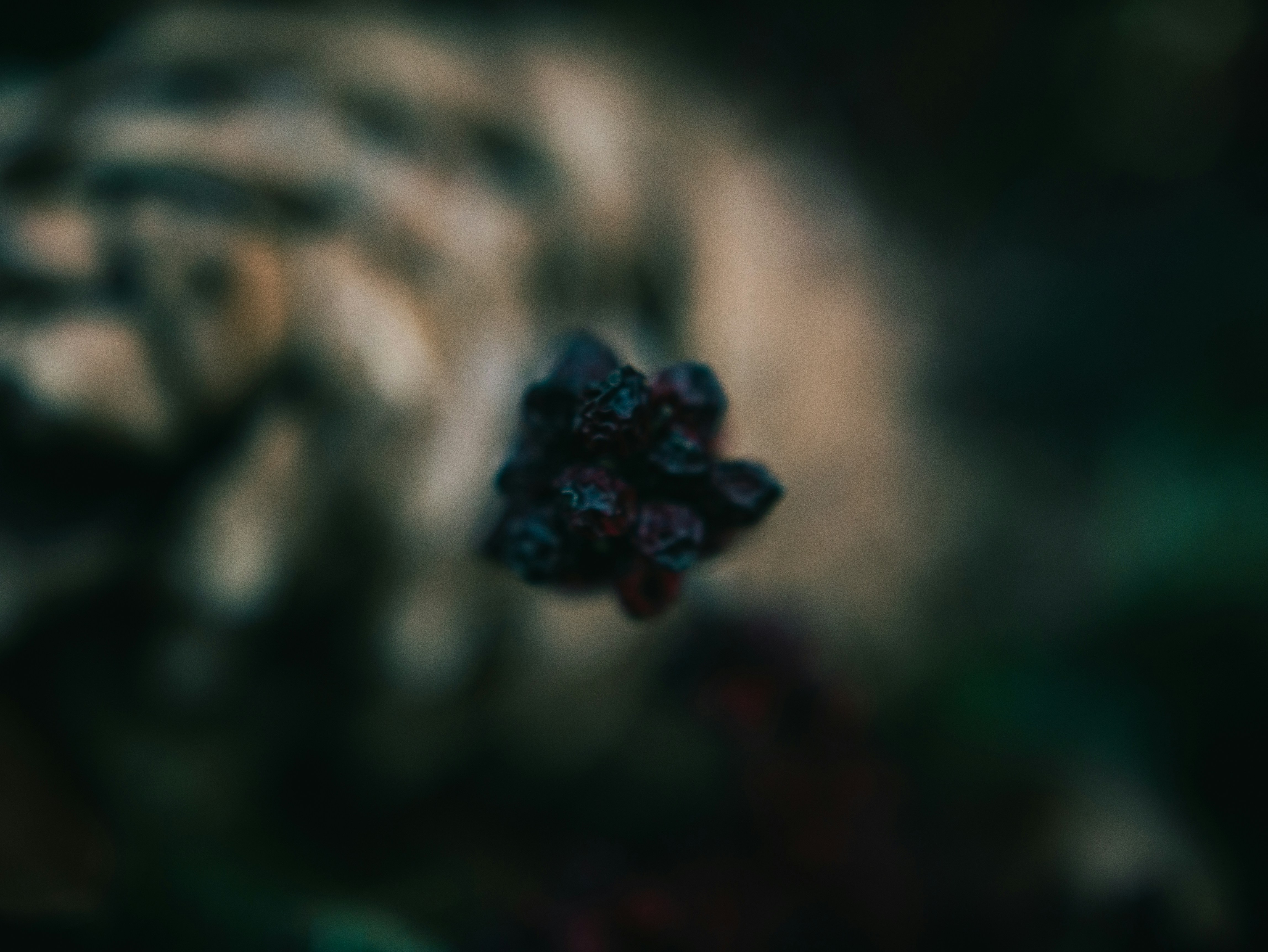 Photo by jadonjohnson