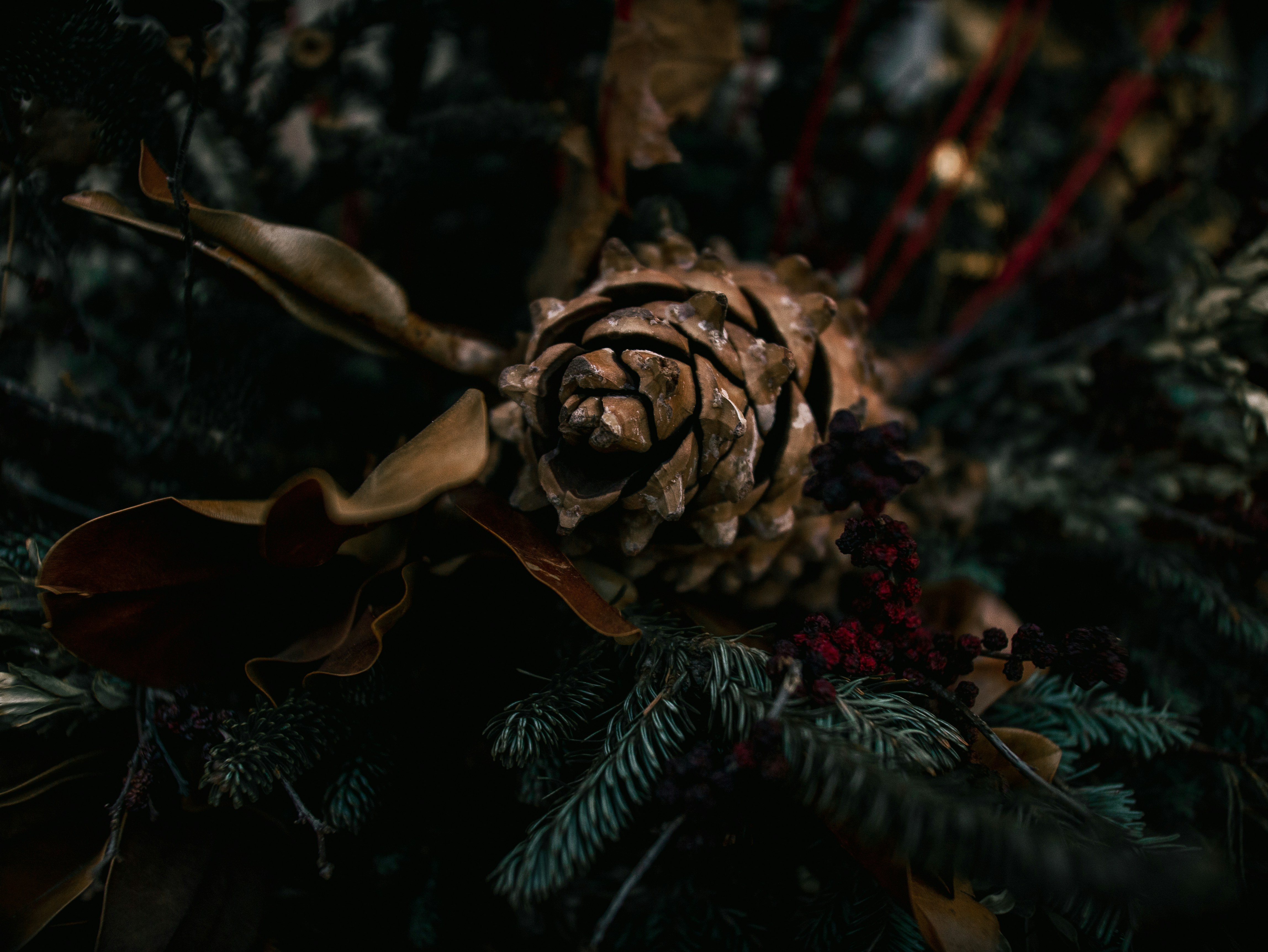 Photo by jadonjohnson