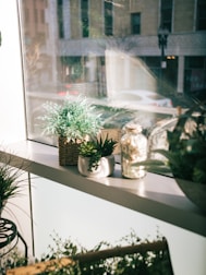Hands planting a small herb garden in a sunny windowsill.
