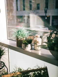 a window sill filled with potted plants next to a window