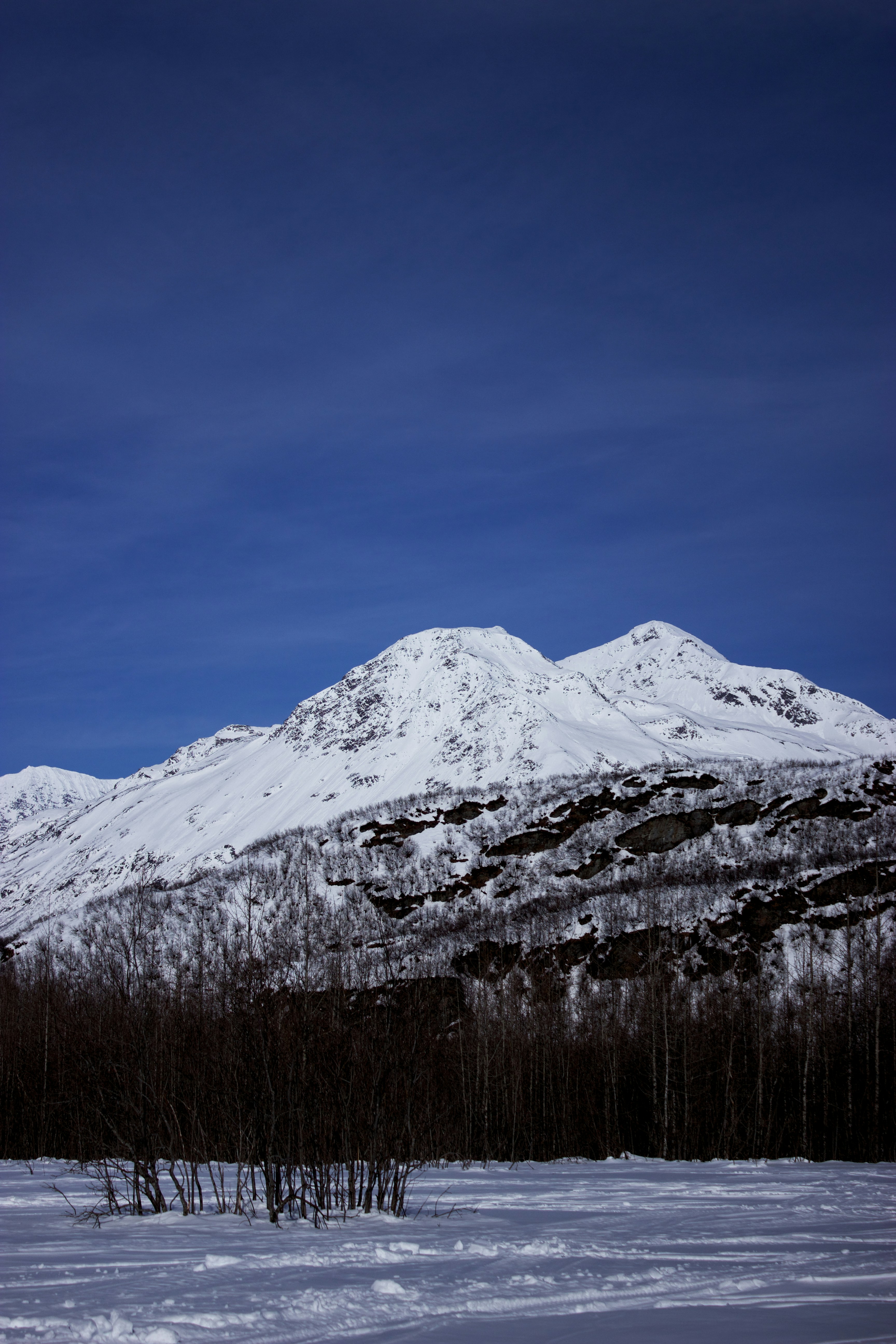 Photo by fickesphotos