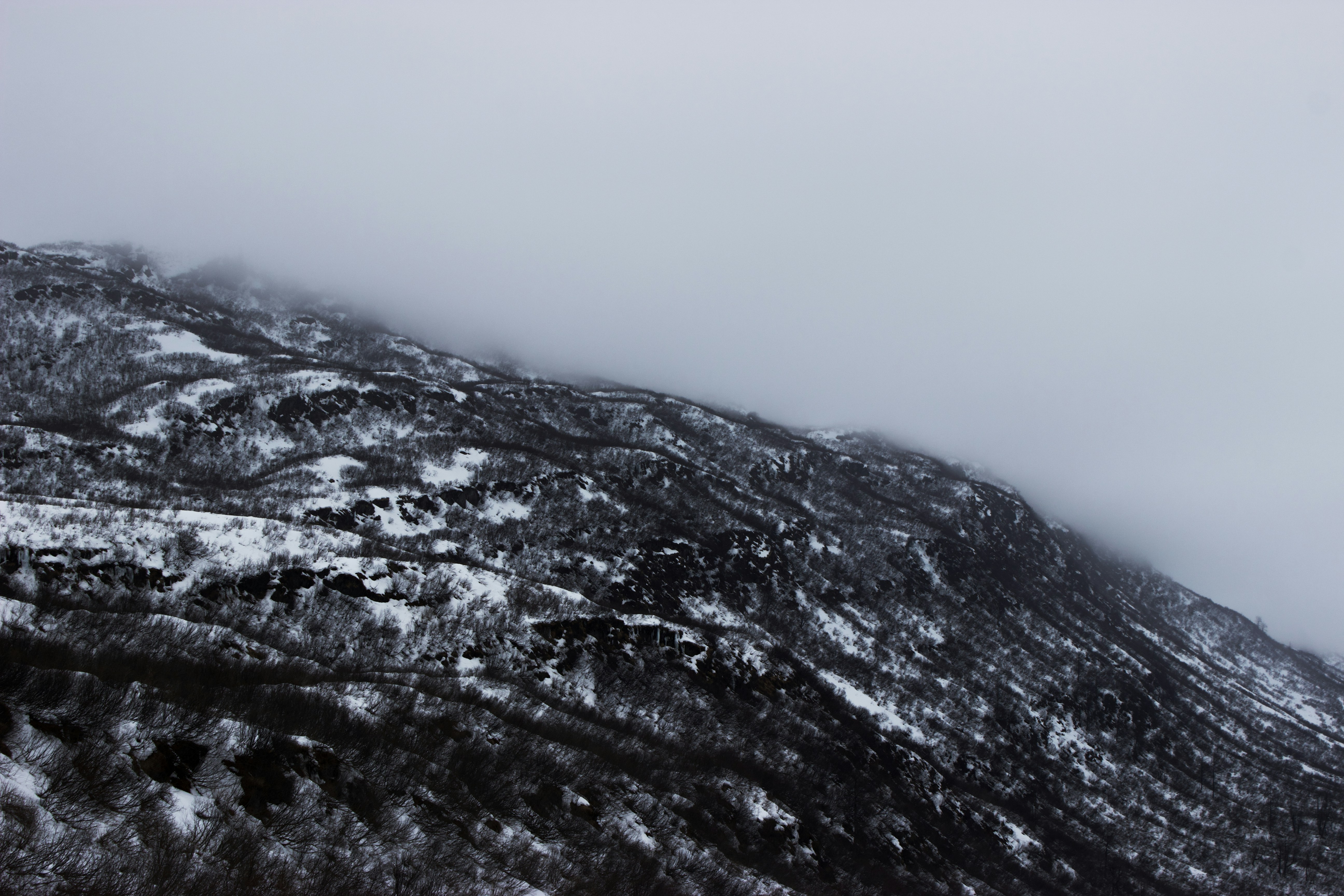 Photo by fickesphotos