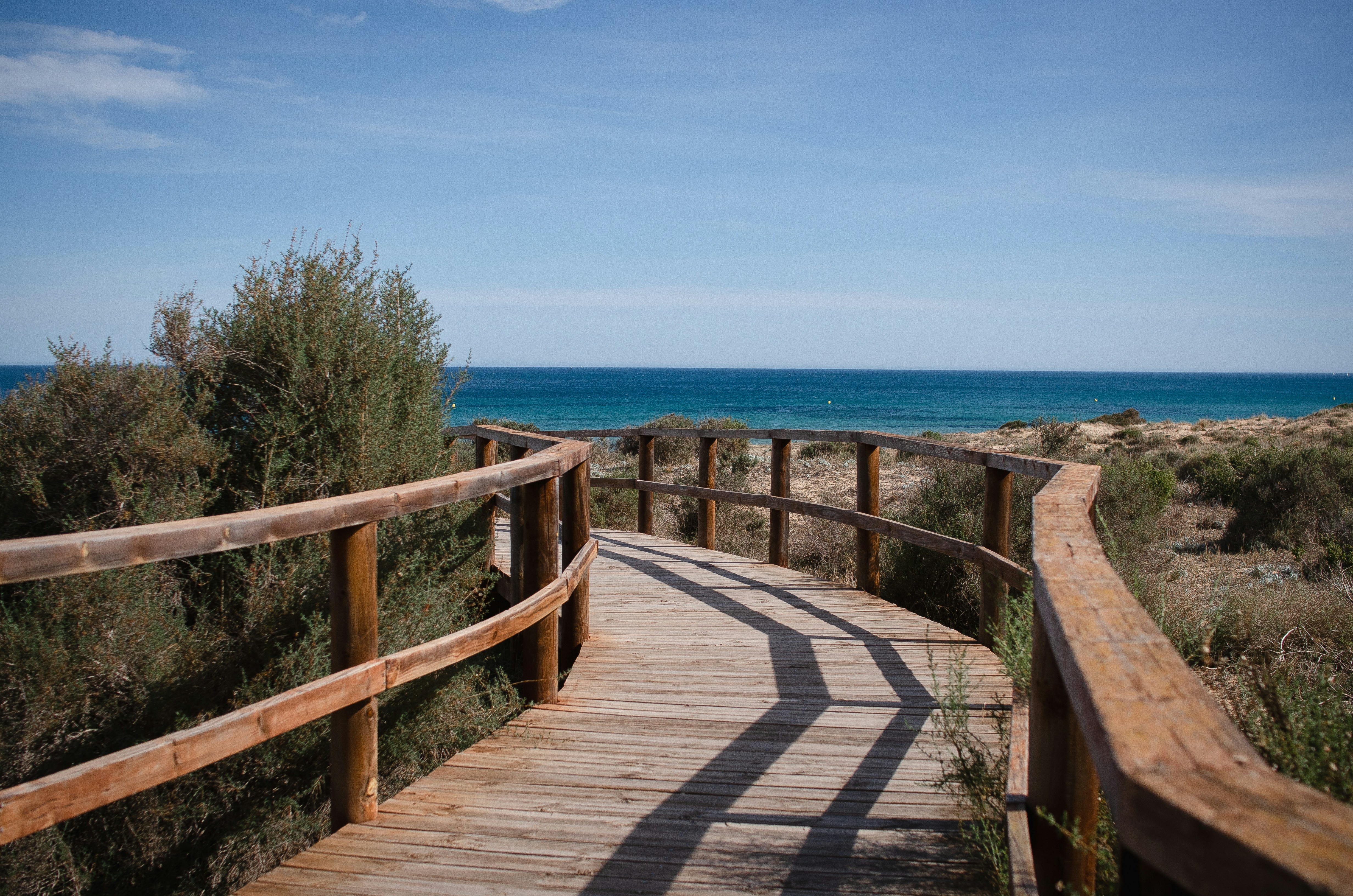 Photo by anastasia_shyrokykh