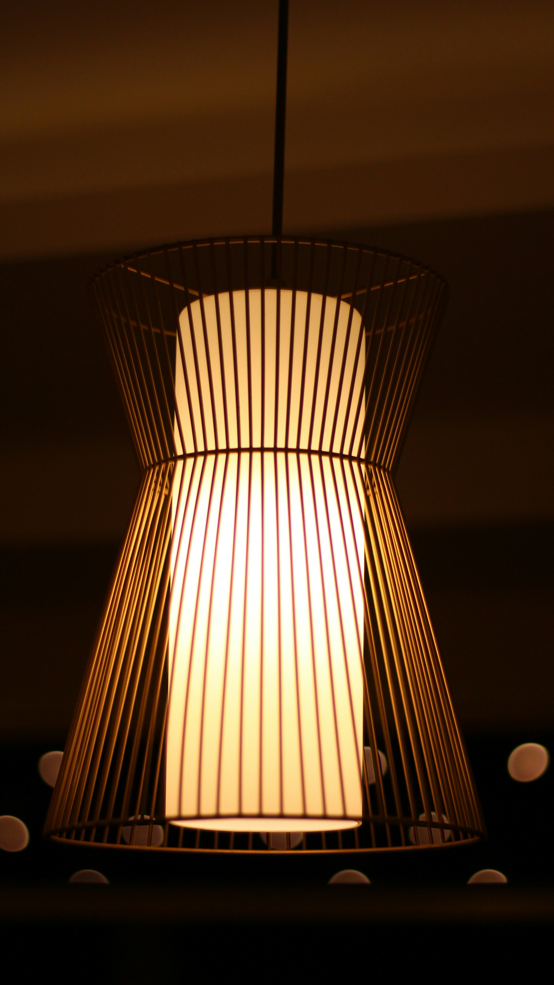 Industrial Cage Pendant Light