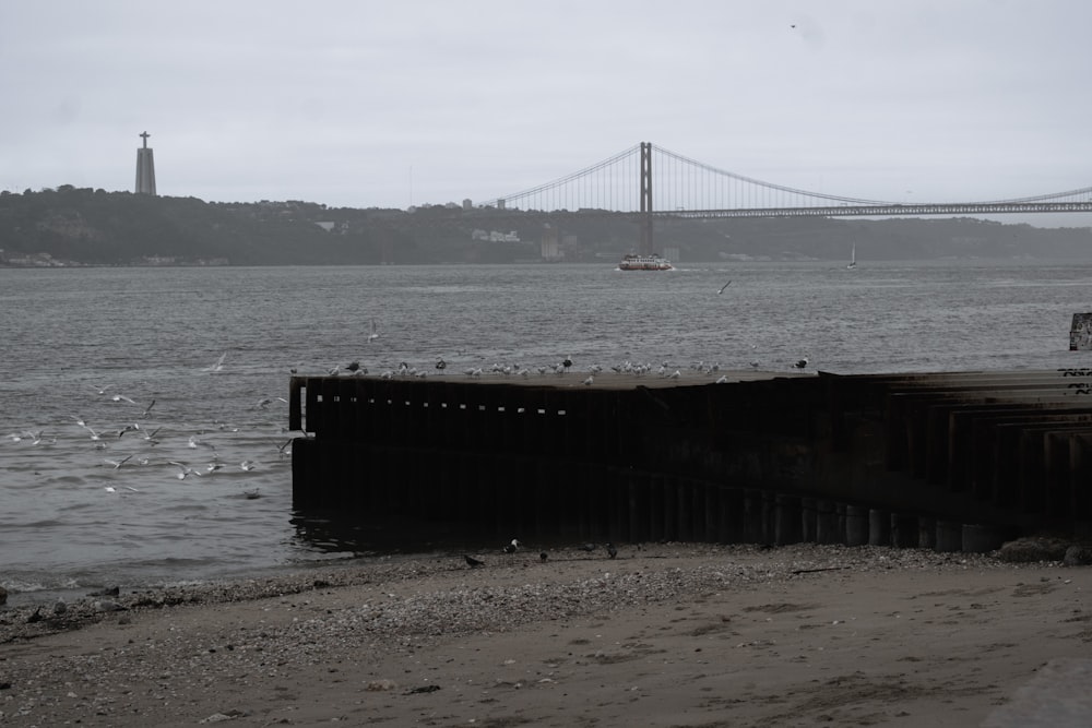 a body of water with a bridge in the background