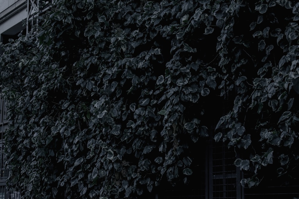 a tall building covered in lots of green leaves