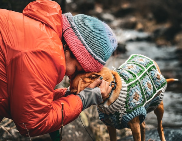 a person in an orange jacket is petting a dog
