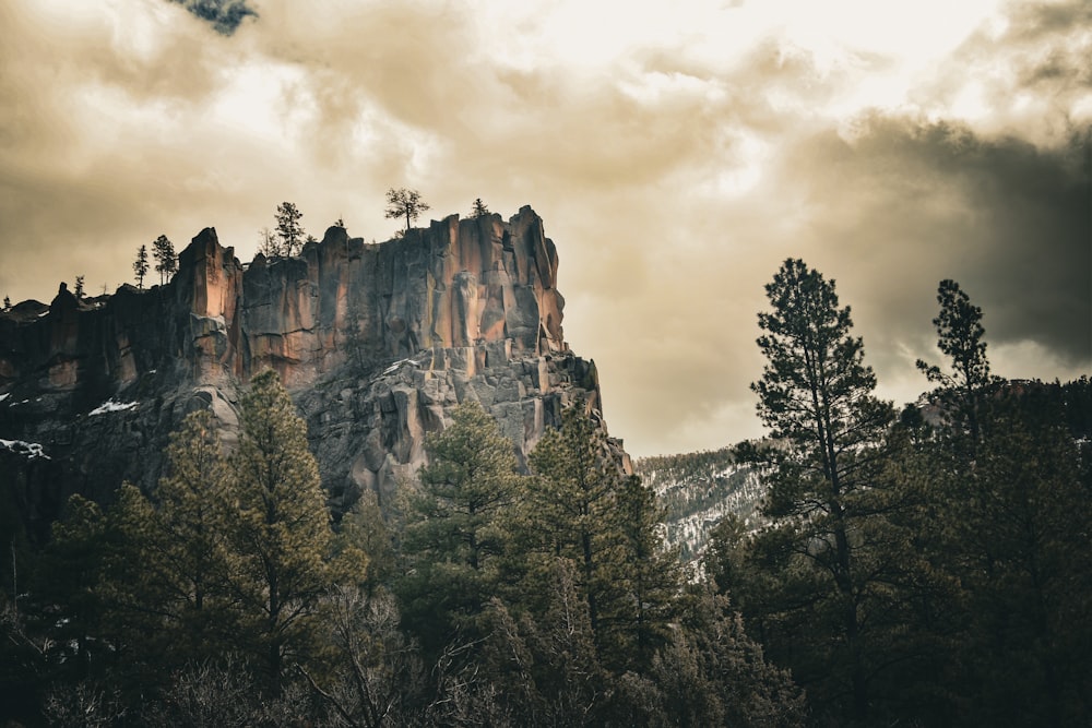 a mountain with trees and clouds in the background