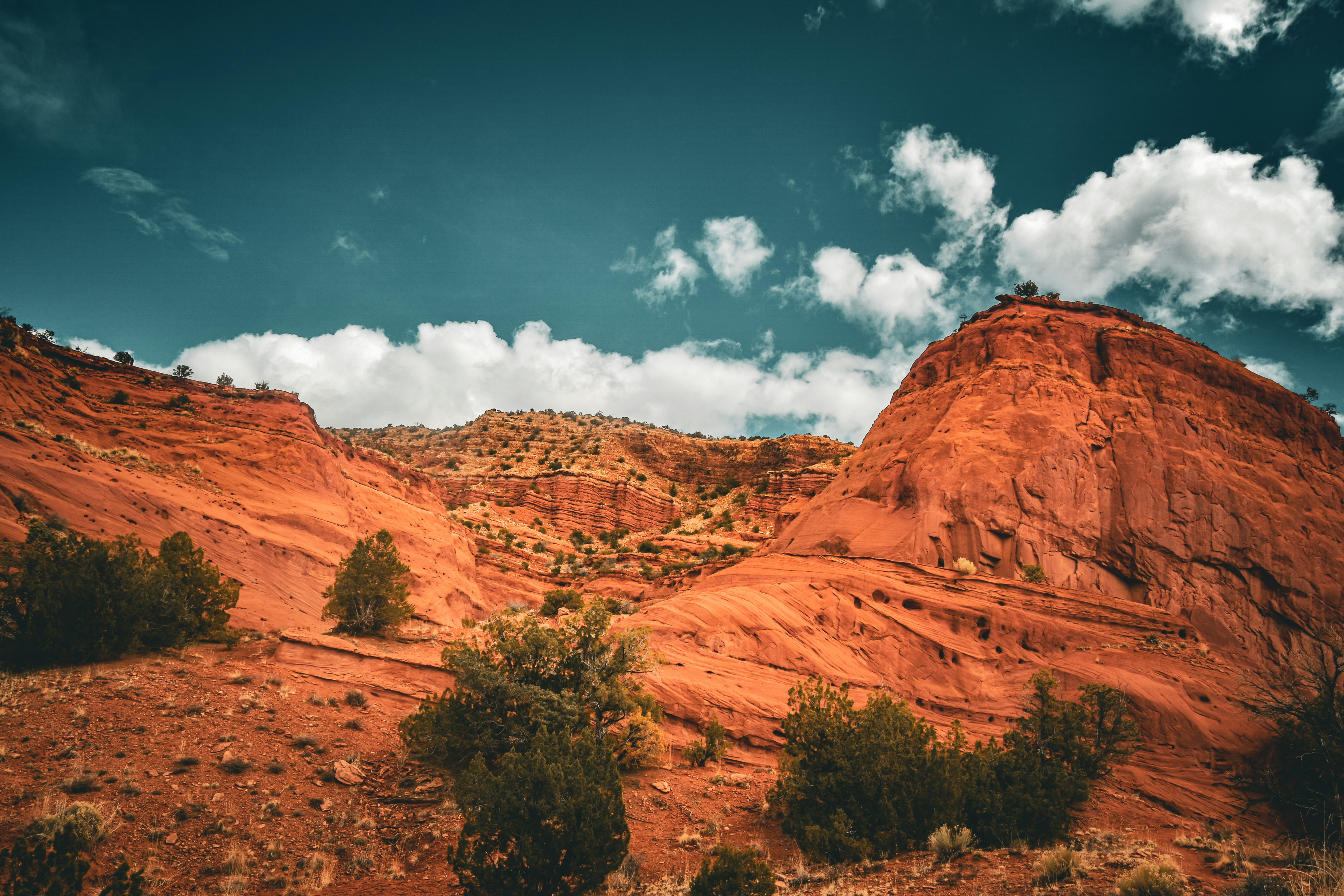 Photo by scottelkins