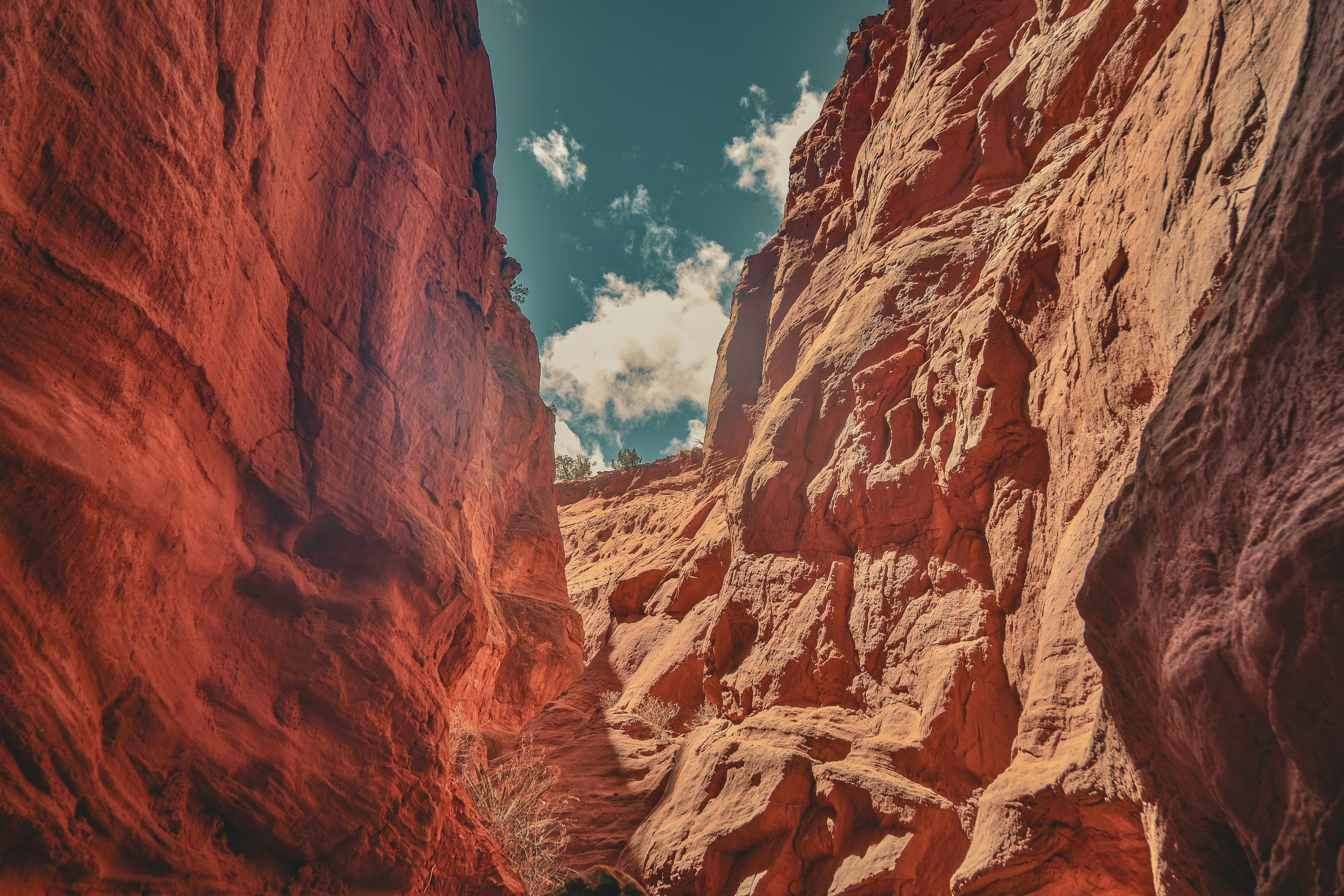 Photo by scottelkins