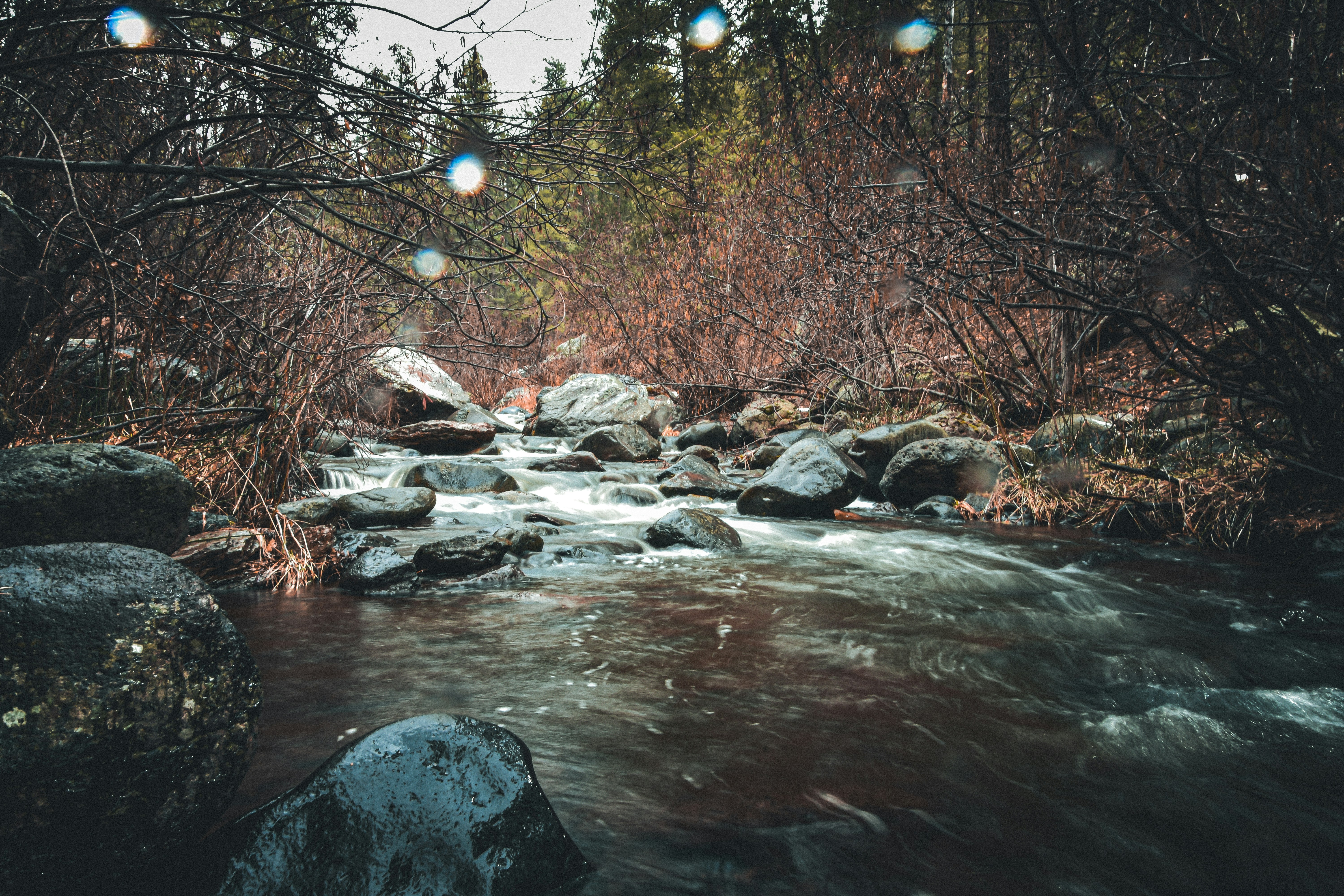 Photo by scottelkins