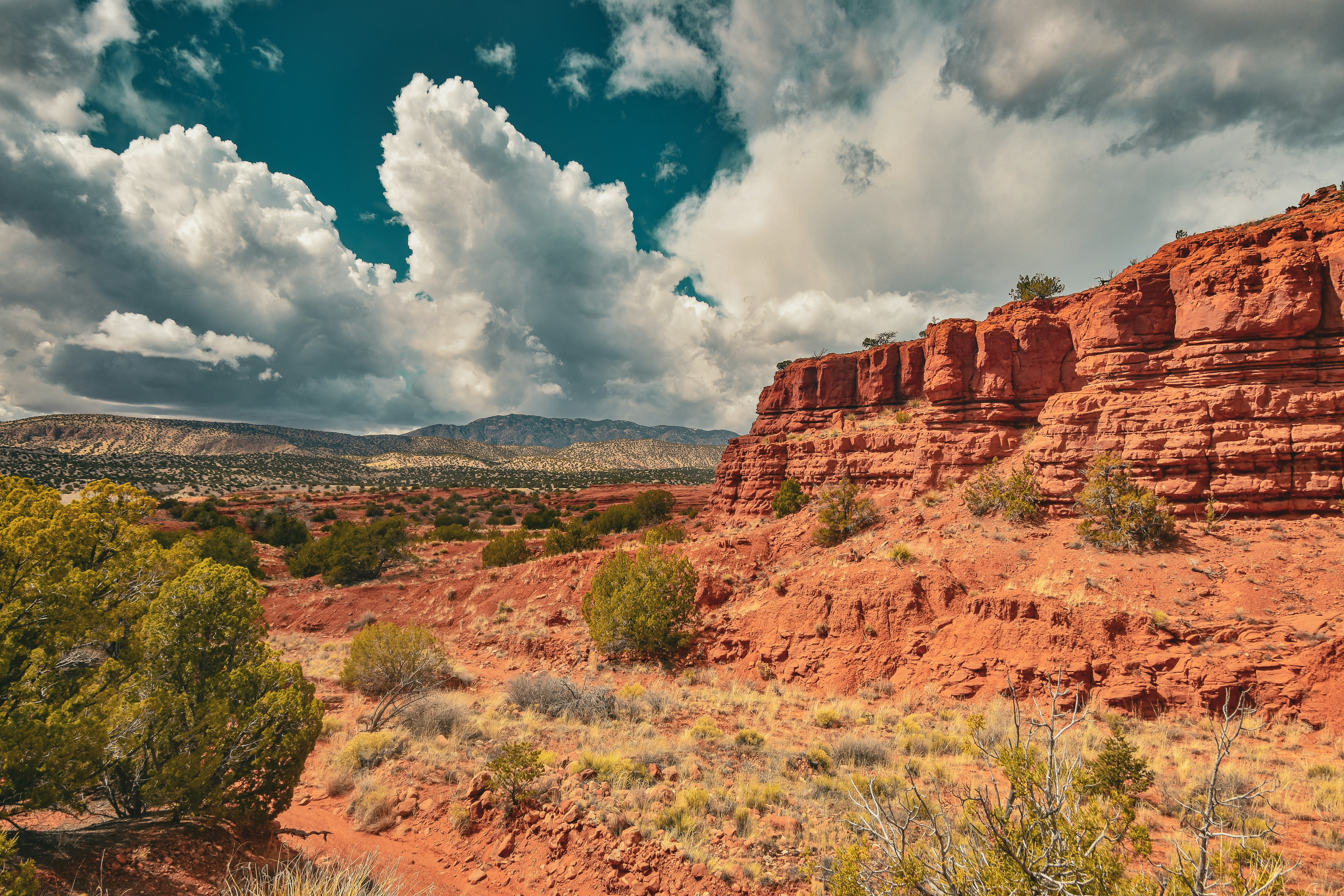 Photo by scottelkins