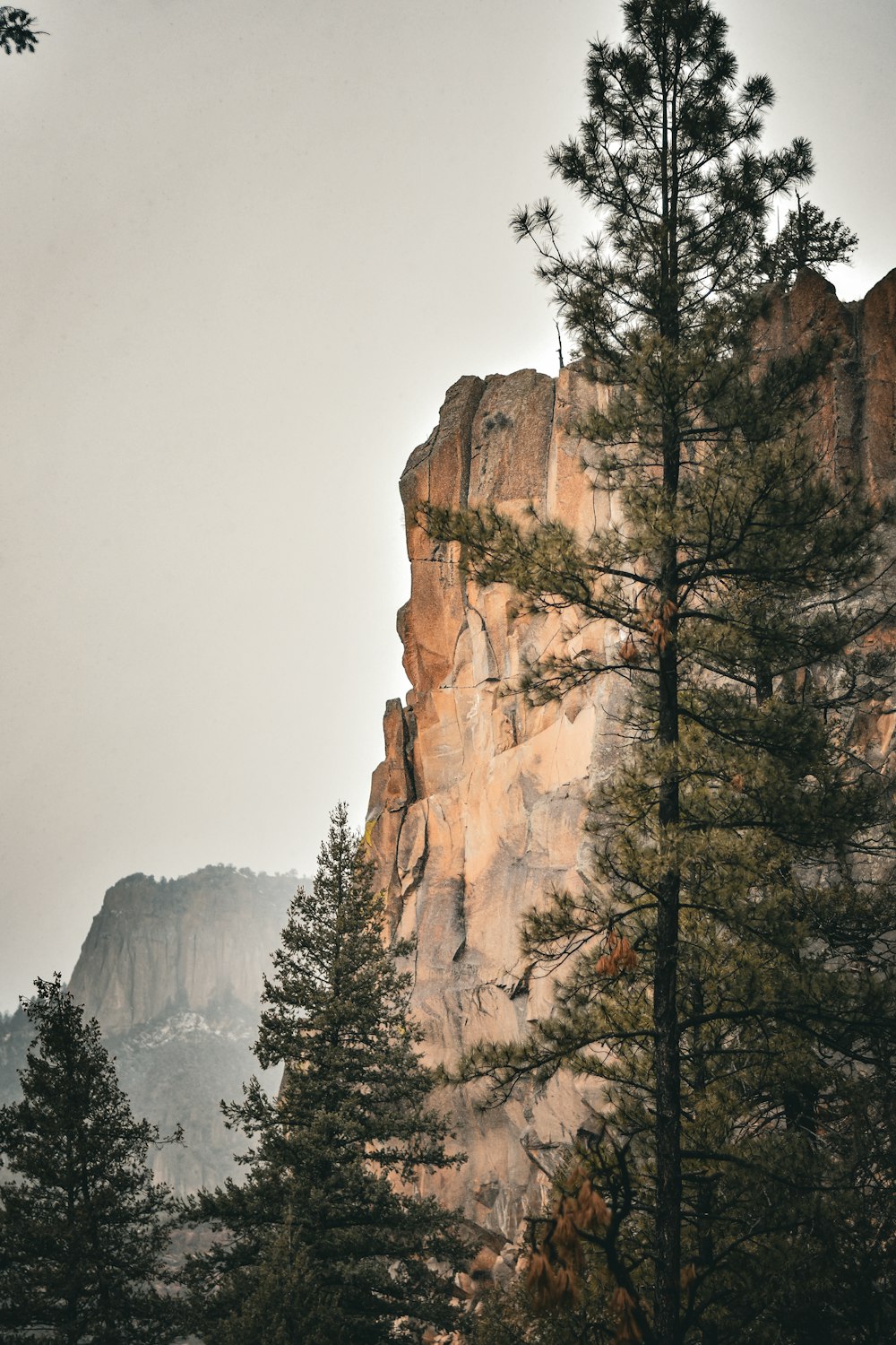 a tall mountain with trees on the side of it