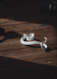 A symbolic bronze skeptron resting on a polished wooden table with a soft gold light highlighting its details.