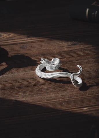 A symbolic bronze skeptron resting on a polished wooden table with a soft gold light highlighting its details.