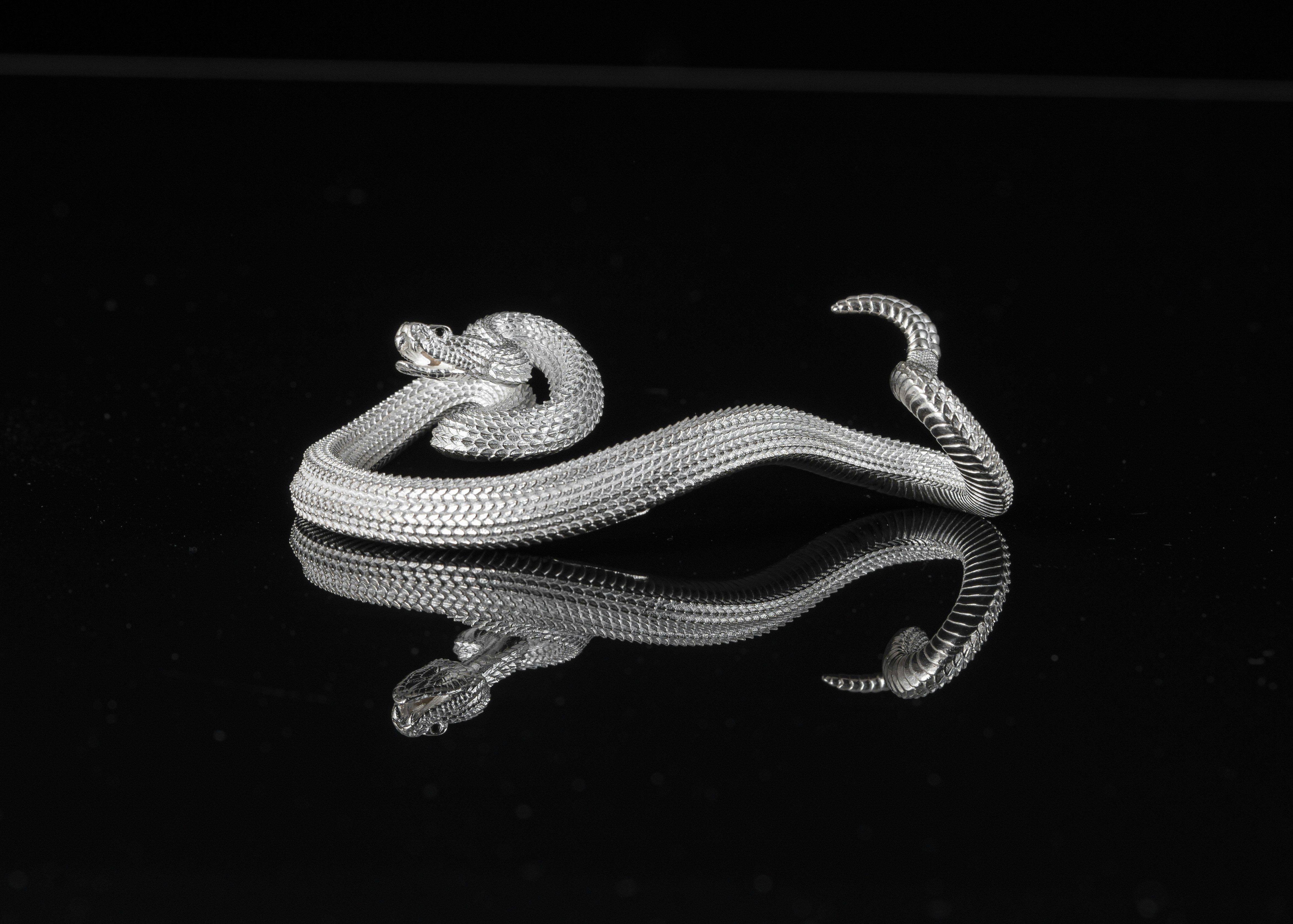 Photo by coppertistwu