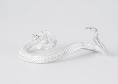 A detailed portrait of the Snake, symbolizing wisdom and intuition in the Chinese zodiac.