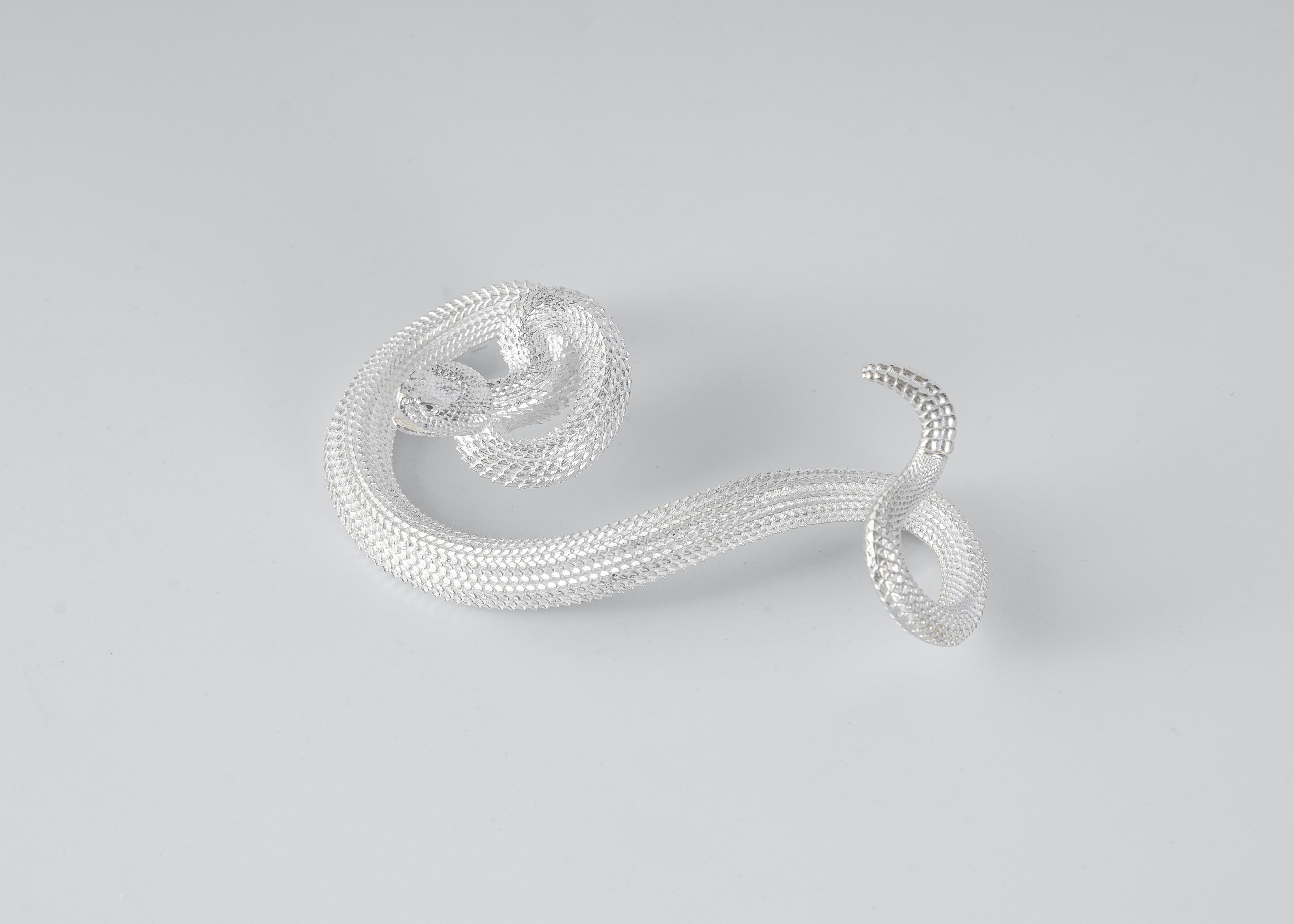 Photo by coppertistwu