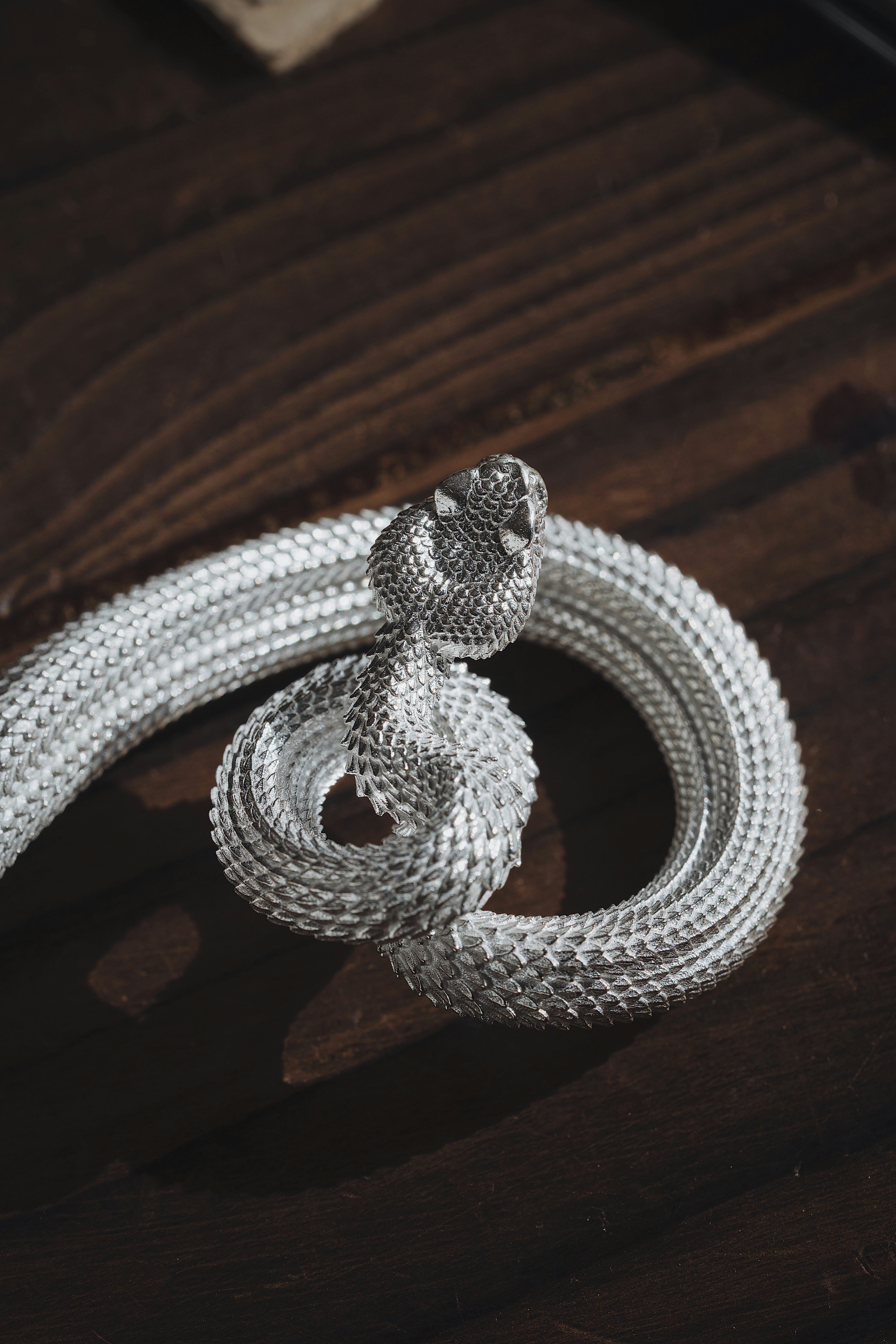 Photo by coppertistwu