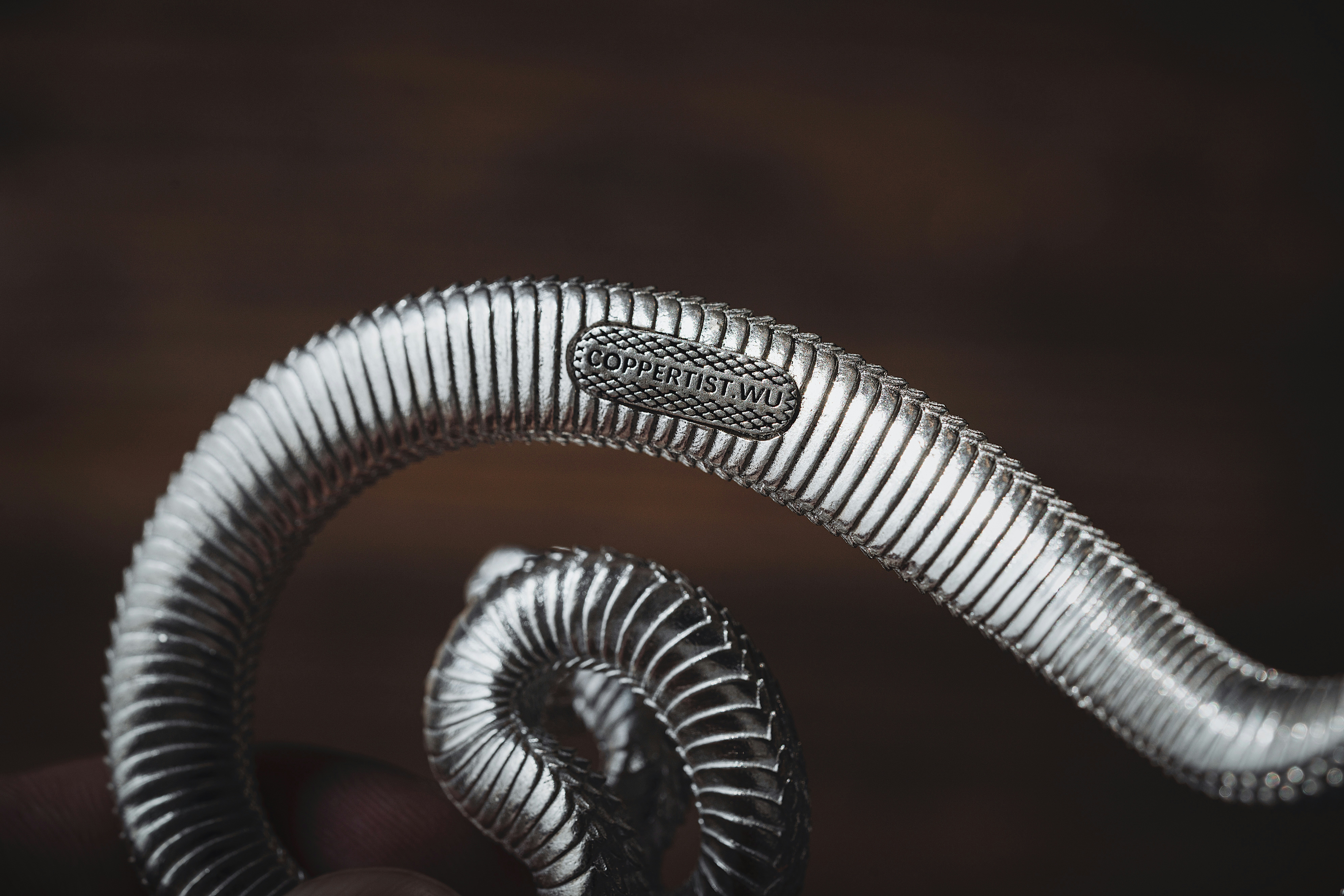 Photo by coppertistwu