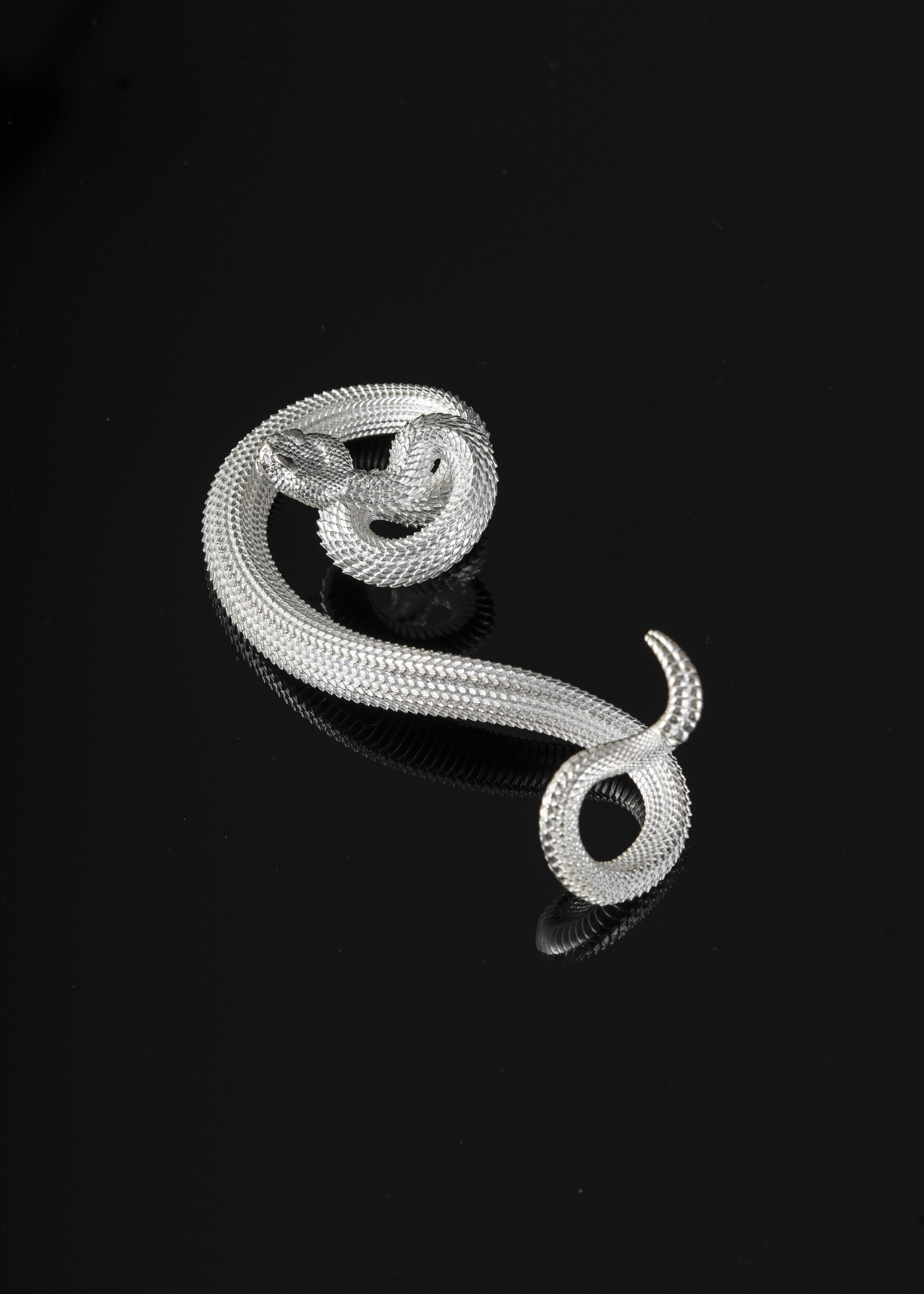 Photo by coppertistwu