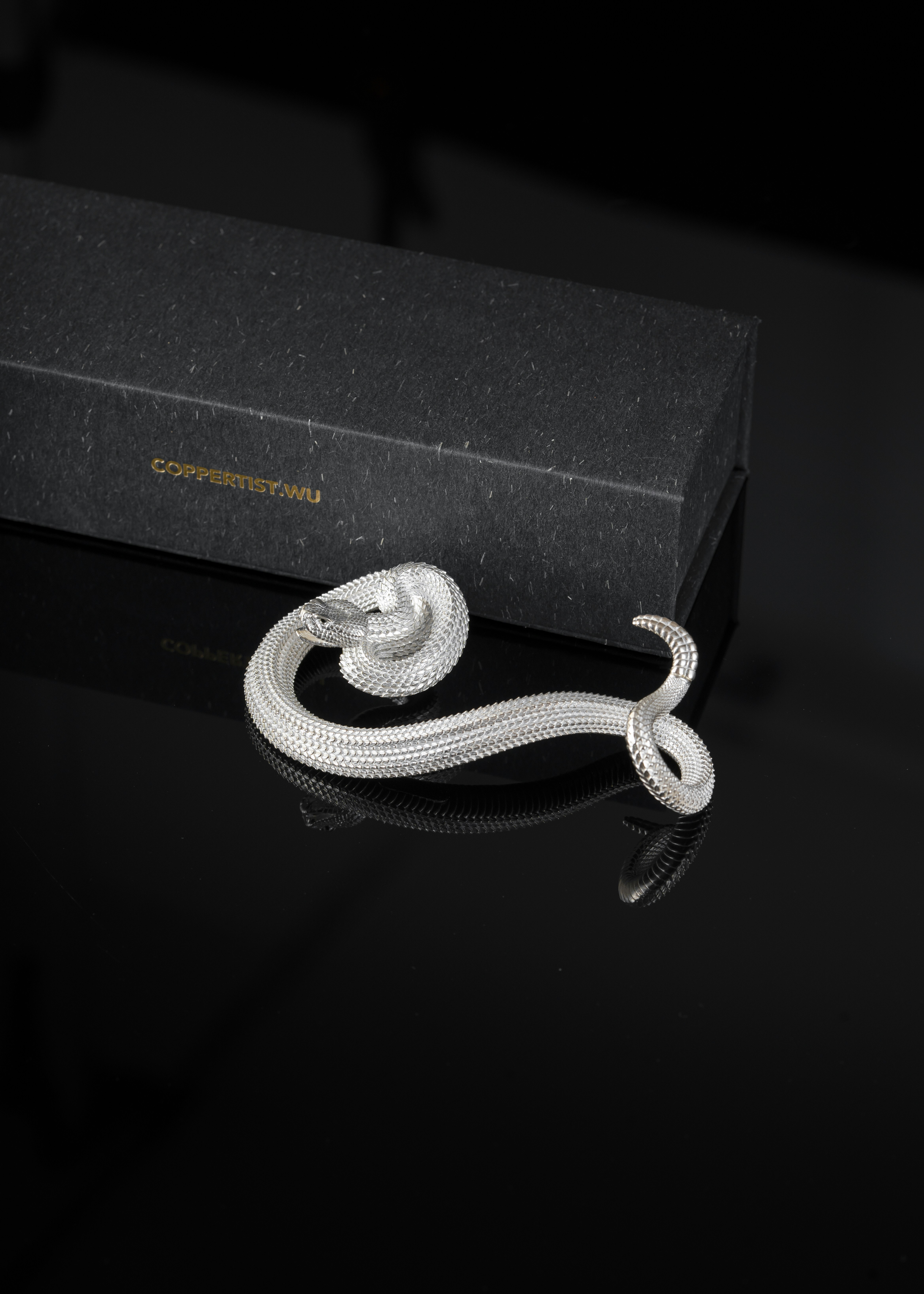 Photo by coppertistwu