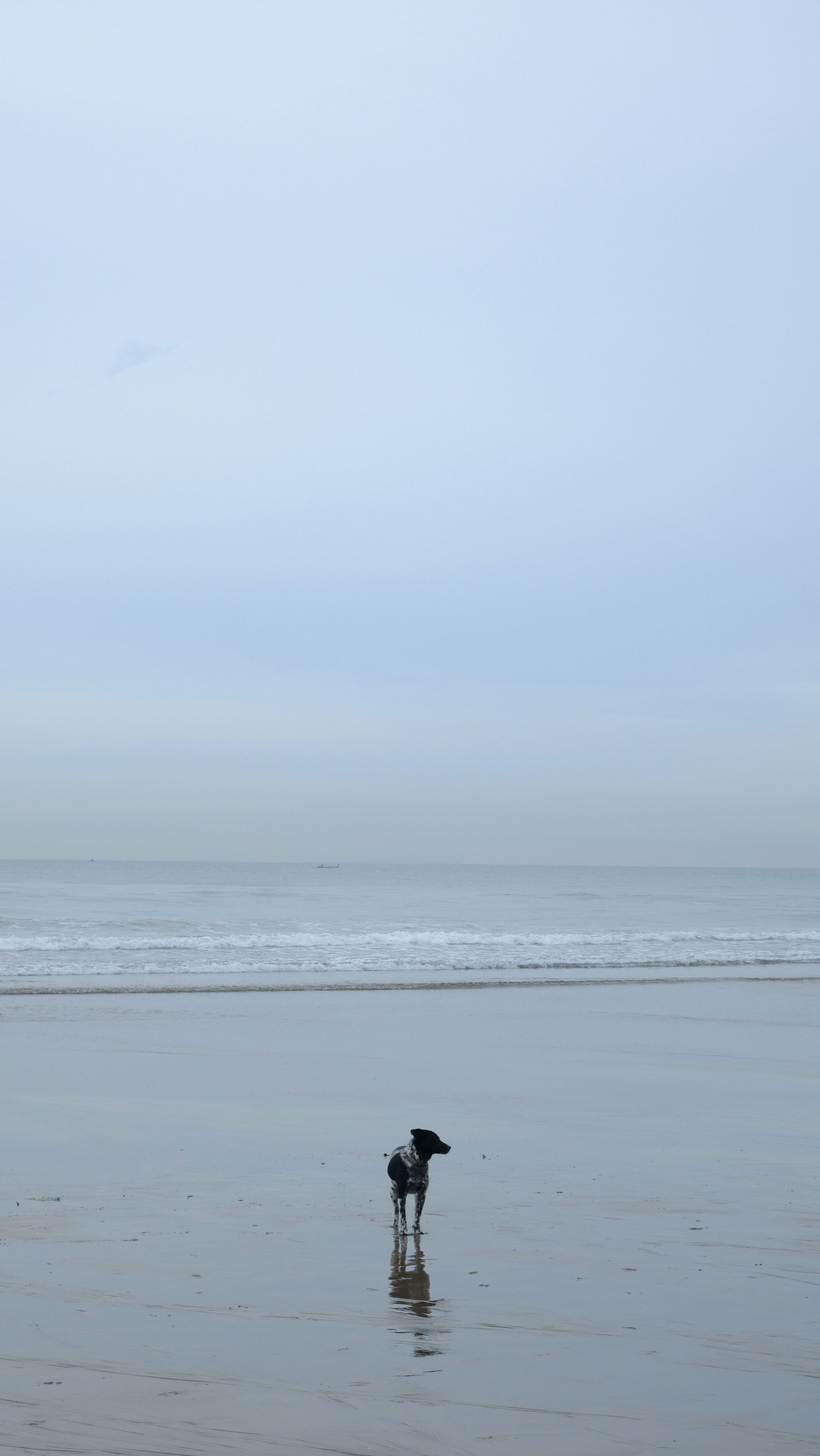 Photo by antonianicoletta