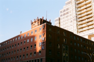 A brick building with multiple windows displays the large vertical letters 'YWCA' on the side. The building is bathed in sunlight, casting warm shadows. In the background, a high-rise building with a modern glass facade rises against a clear blue sky.