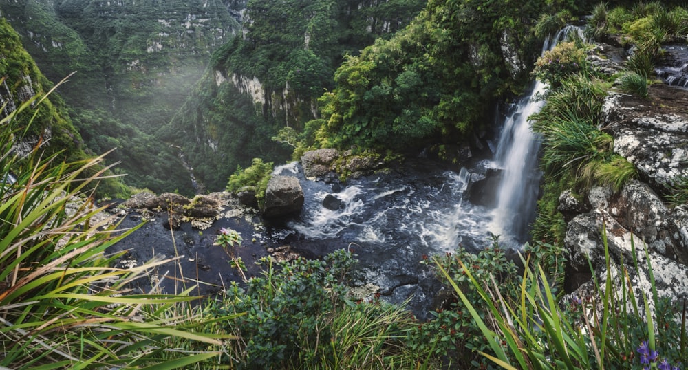 Une petite cascade au milieu d’une forêt