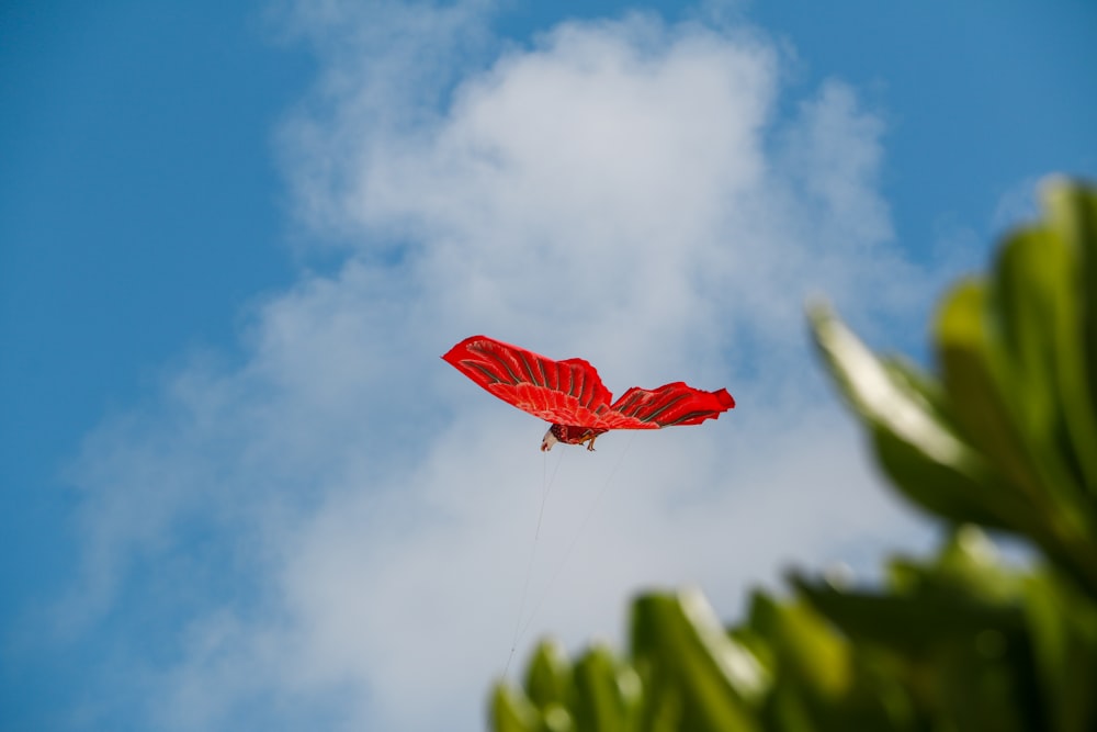 a red kite flying through a blue cloudy sky