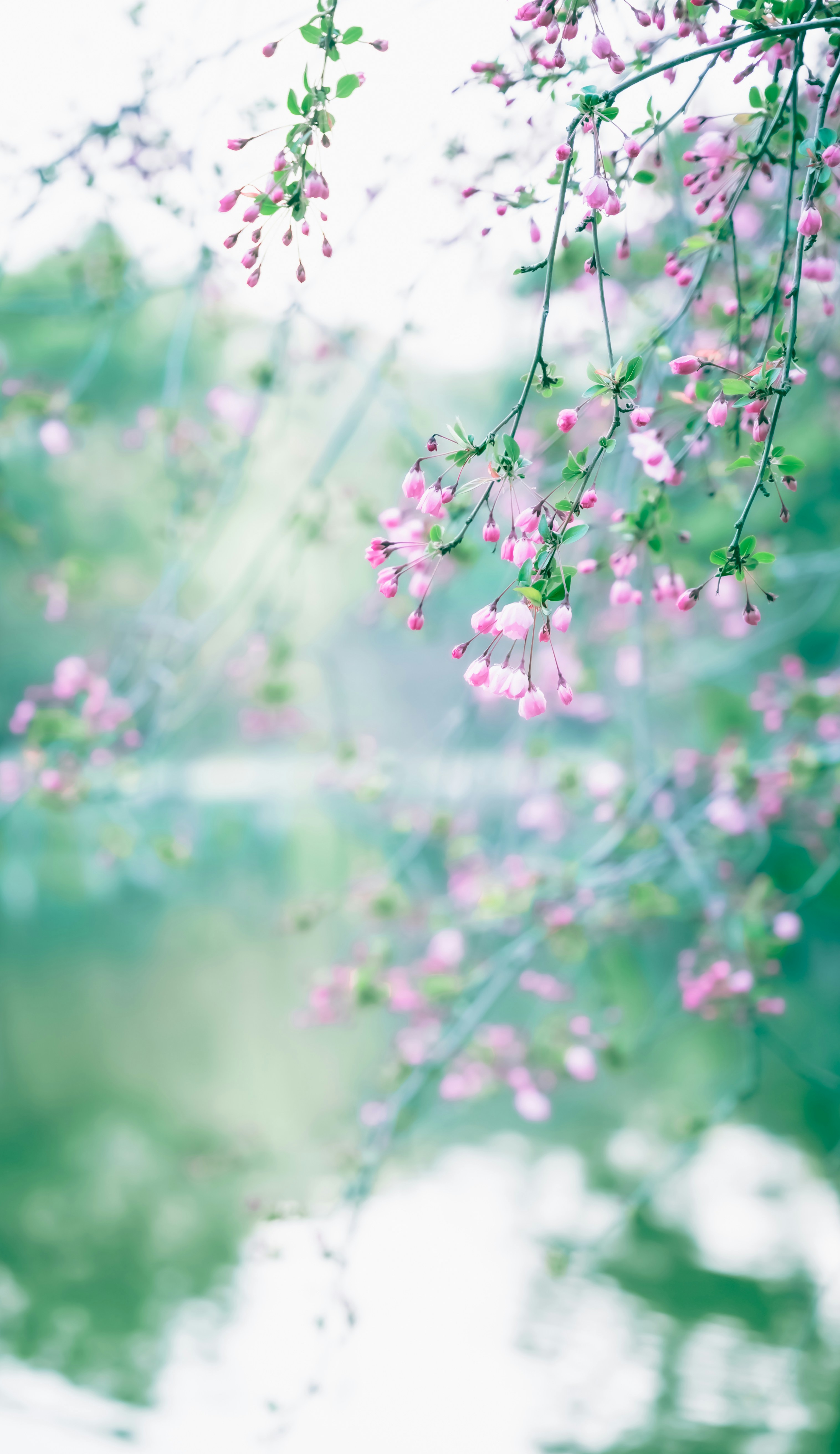 Photo by mocking_bird